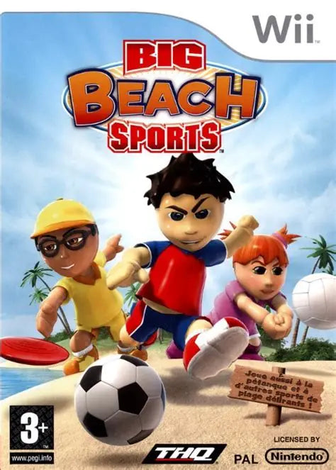 Big beach sports wii
