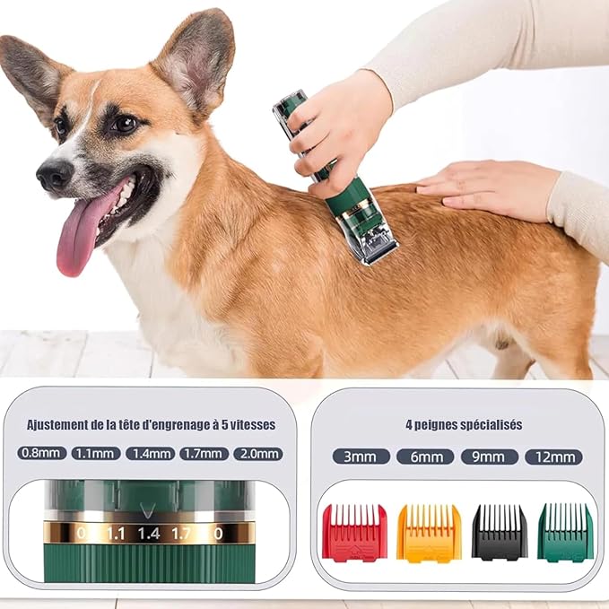 Tondeuse Professionnelle pour Chien et Chat LED Étanche IPX7 Rechargeable 3 Vitesses avec Accessoires