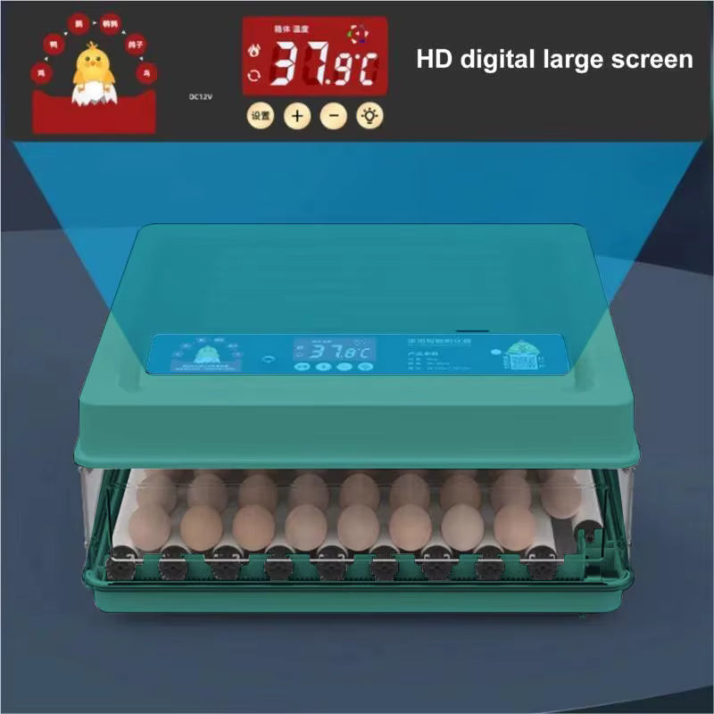 Couveuse à Œufs Automatique 24 Œufs avec Contrôle de Température – Remplissage d’Eau Externe – Incubateur Électrique pour Œufs de Poule et Volaille