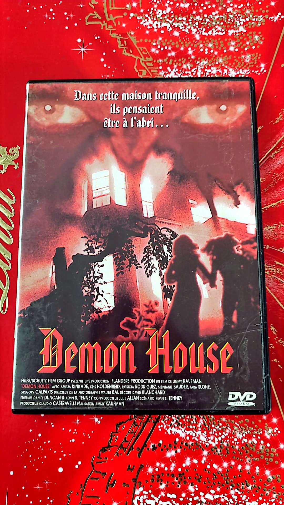 DVD : Demon house film