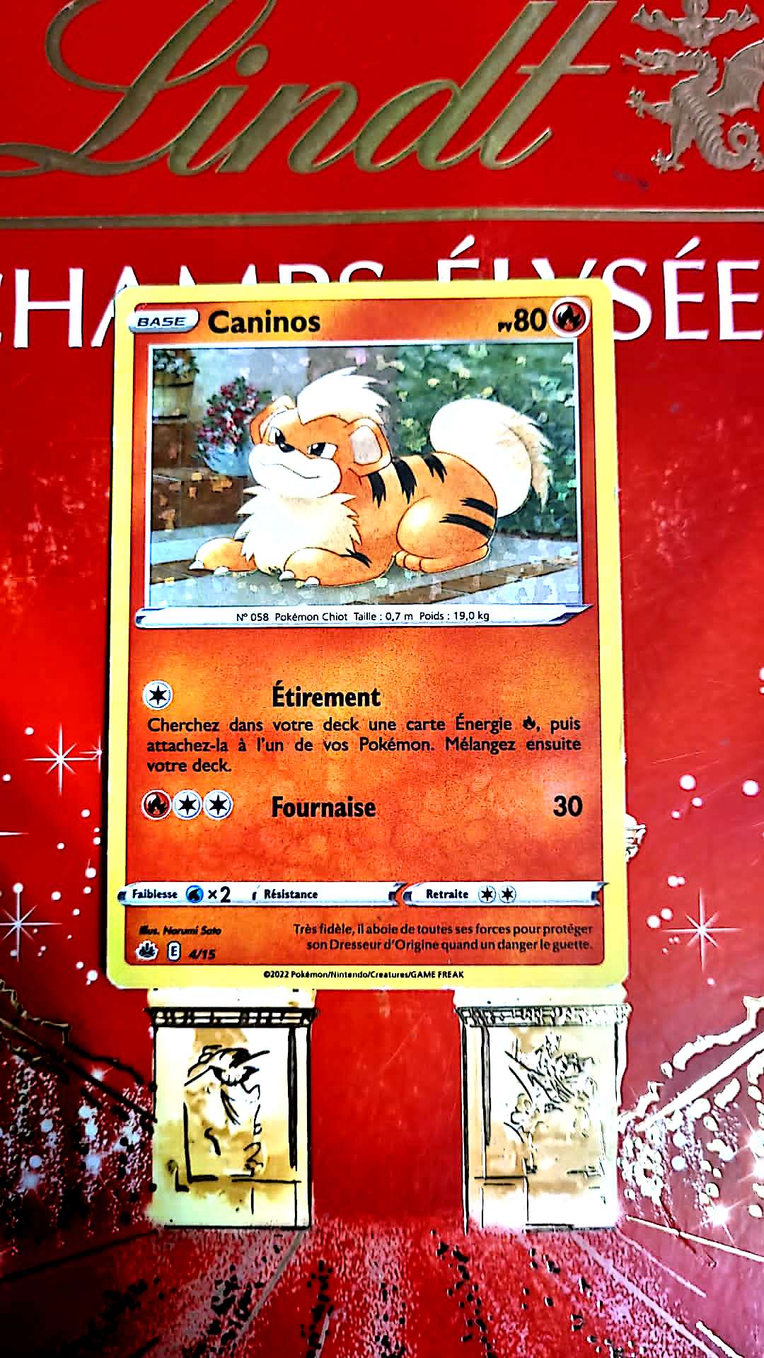 Carte Pokémon – Caninos – 80 PV – Attaques Étirement et Fournaise
