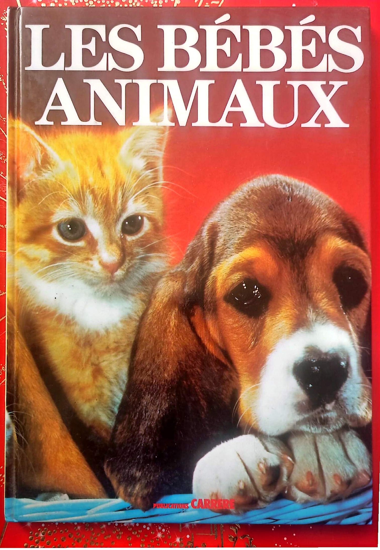 Les Bébés Animaux – Livre documentaire illustré – Jeunesse