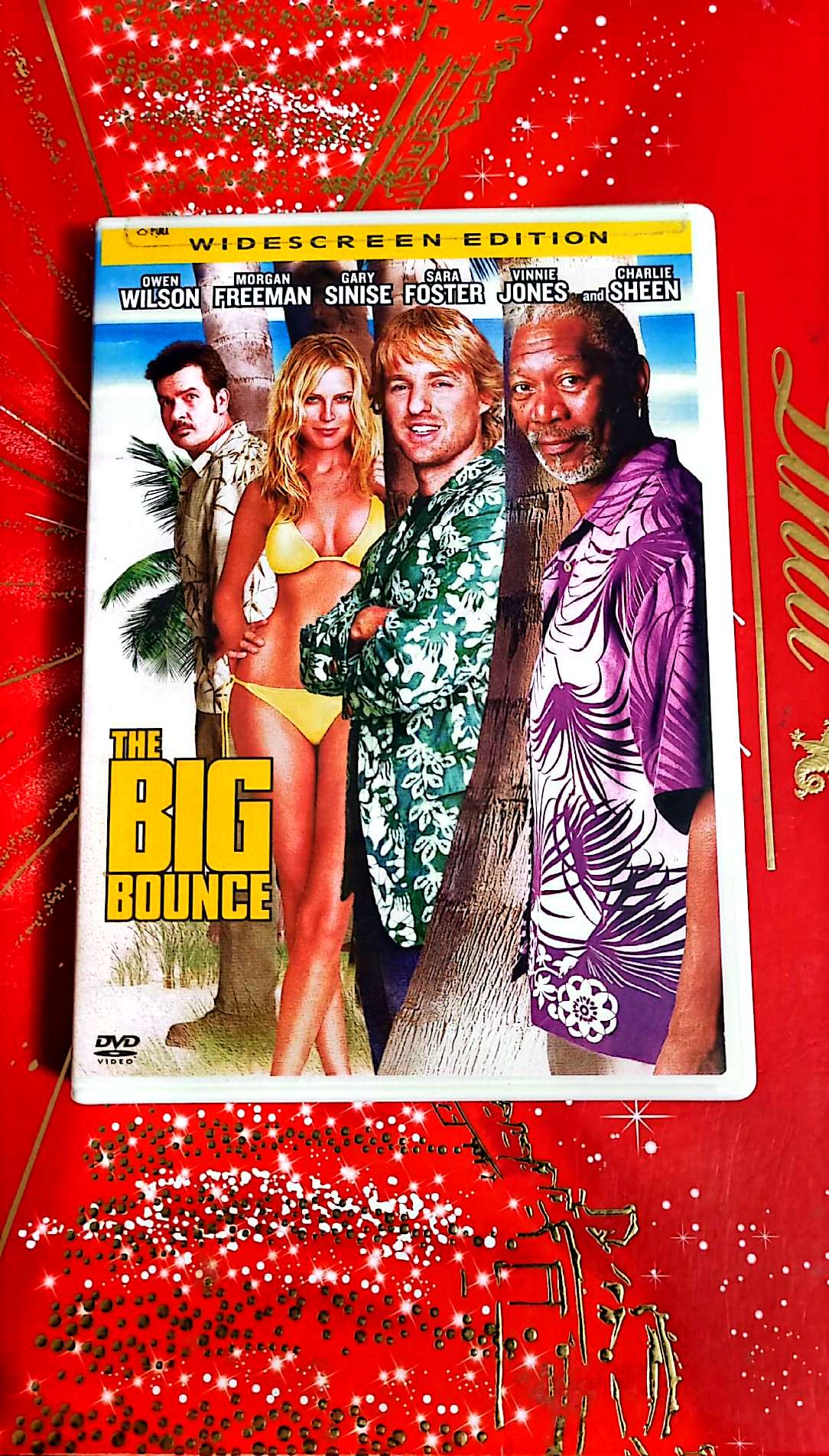 DVD : THe big bounce