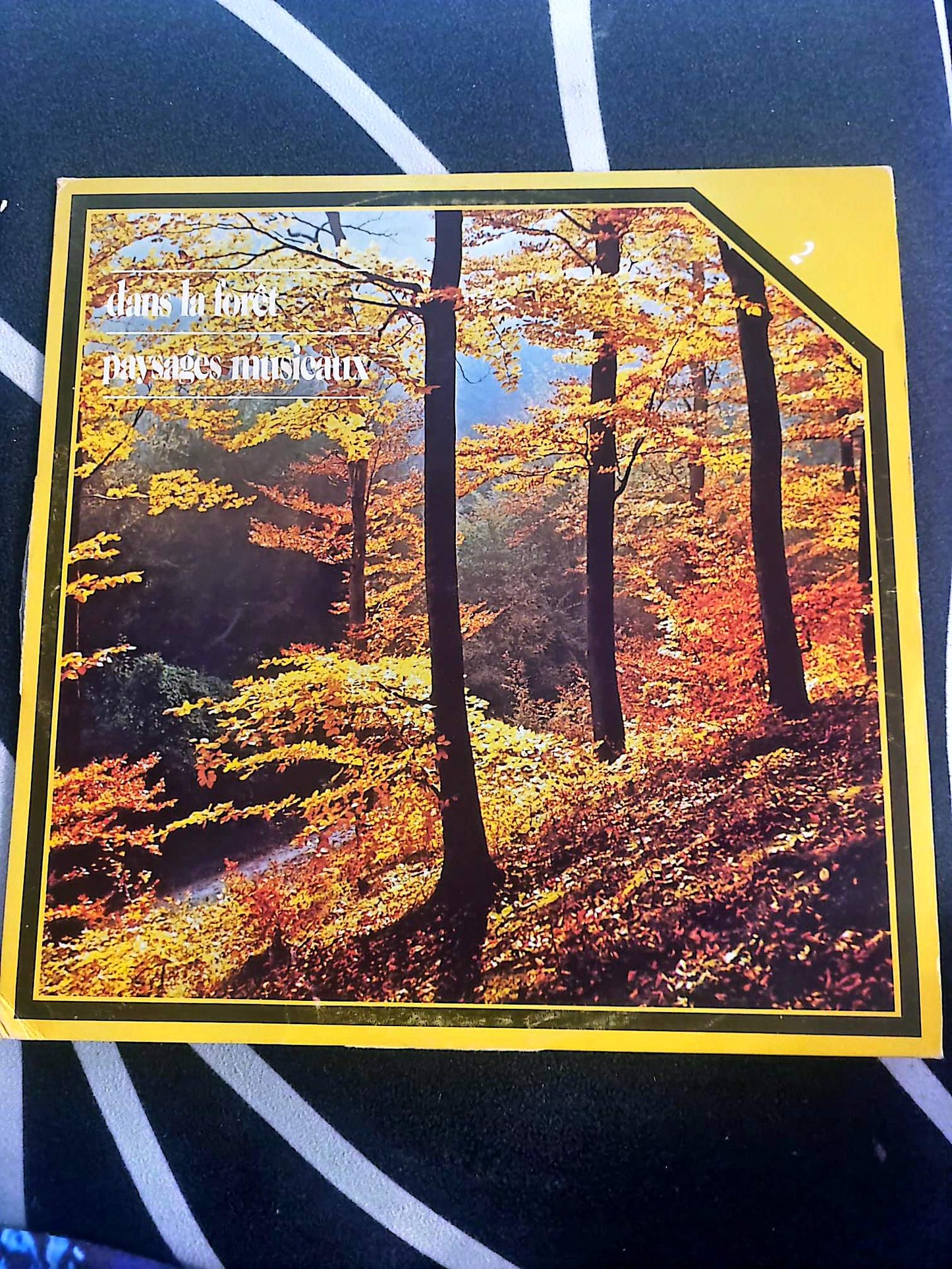 Disque Vinyle 33T – Dans la forêt : paysages musicaux – Musique classique – LP RCA Sélection