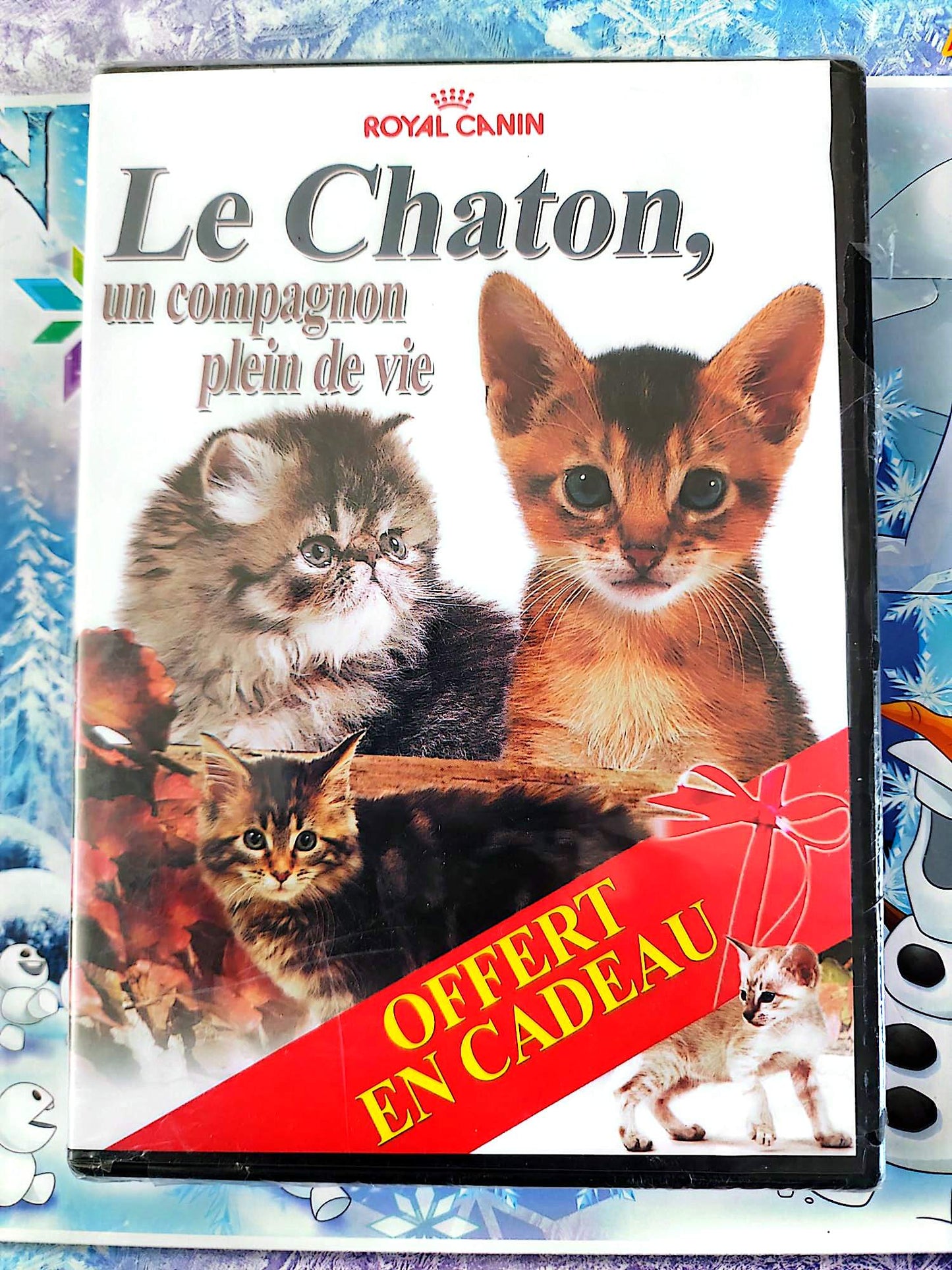 DVD Le Chaton Un Compagnon Plein de Vie Royal Film Documentaire Chats Chatons PAL Français