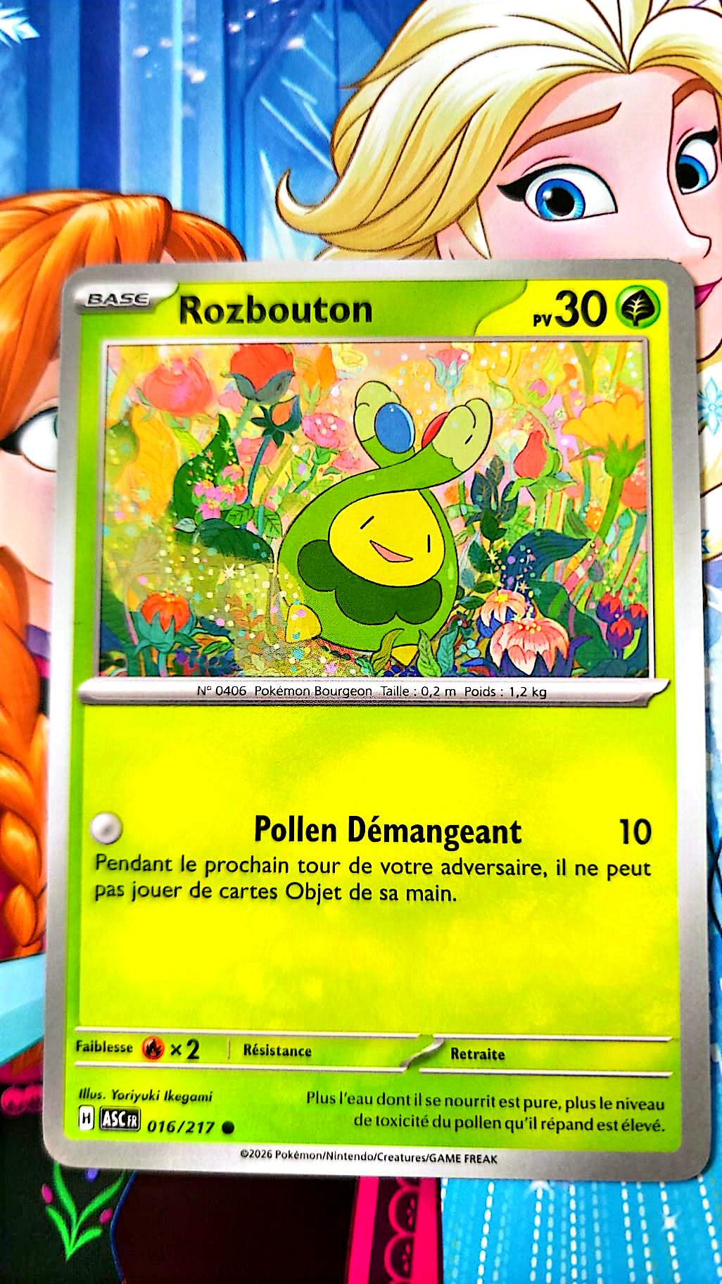 Carte Pokémon Plante Française – Carte TCG Pokémon – Carte Commune – Collection & Jeu