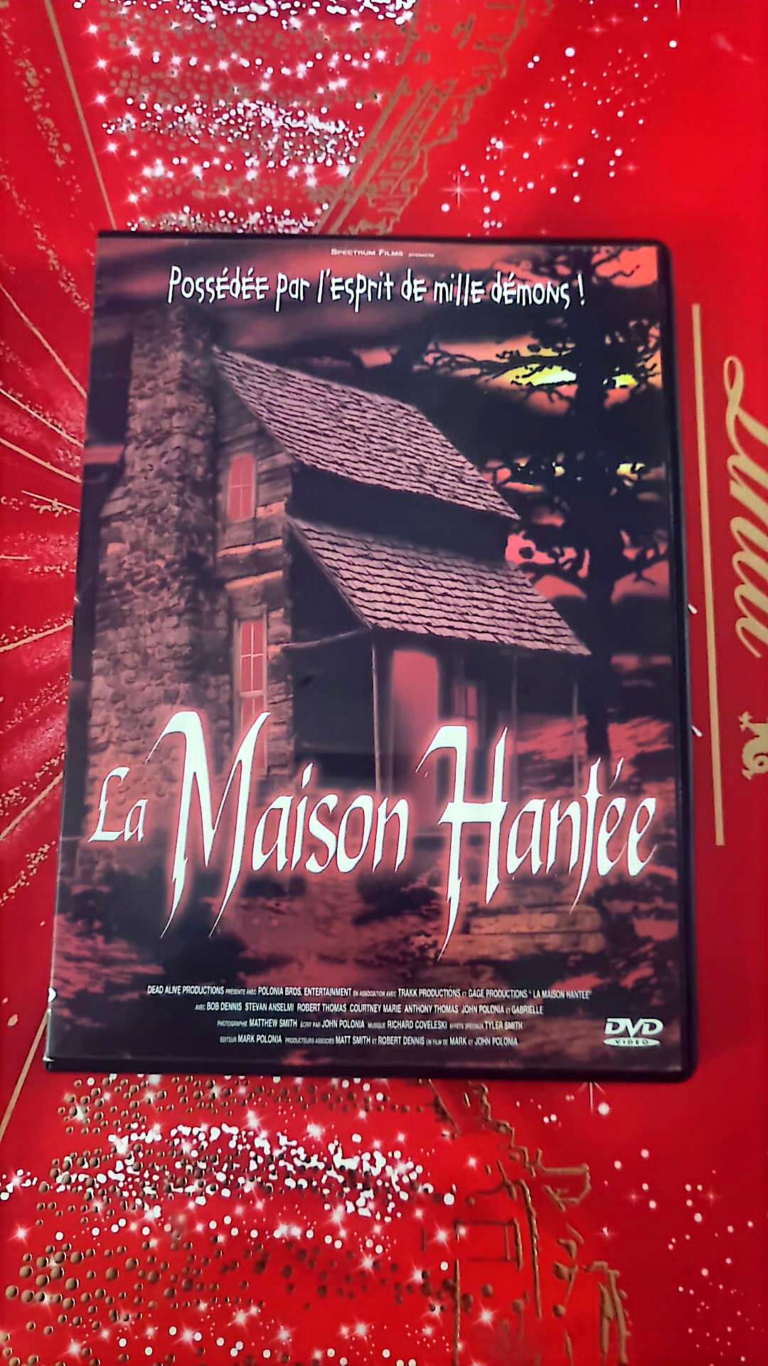 DVD la maison hantée