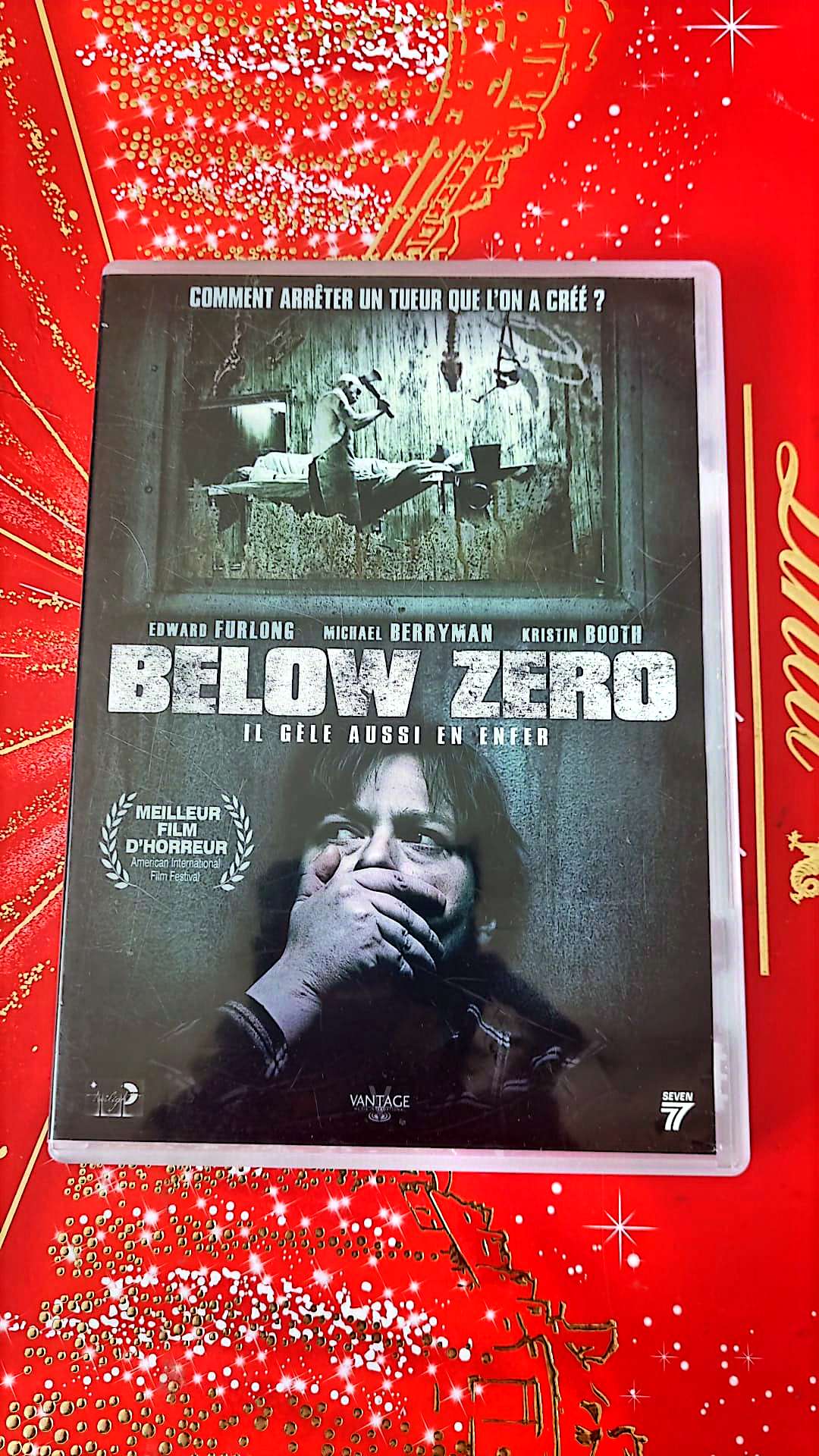 DVD : below zéro il gèle aussi en enfer en