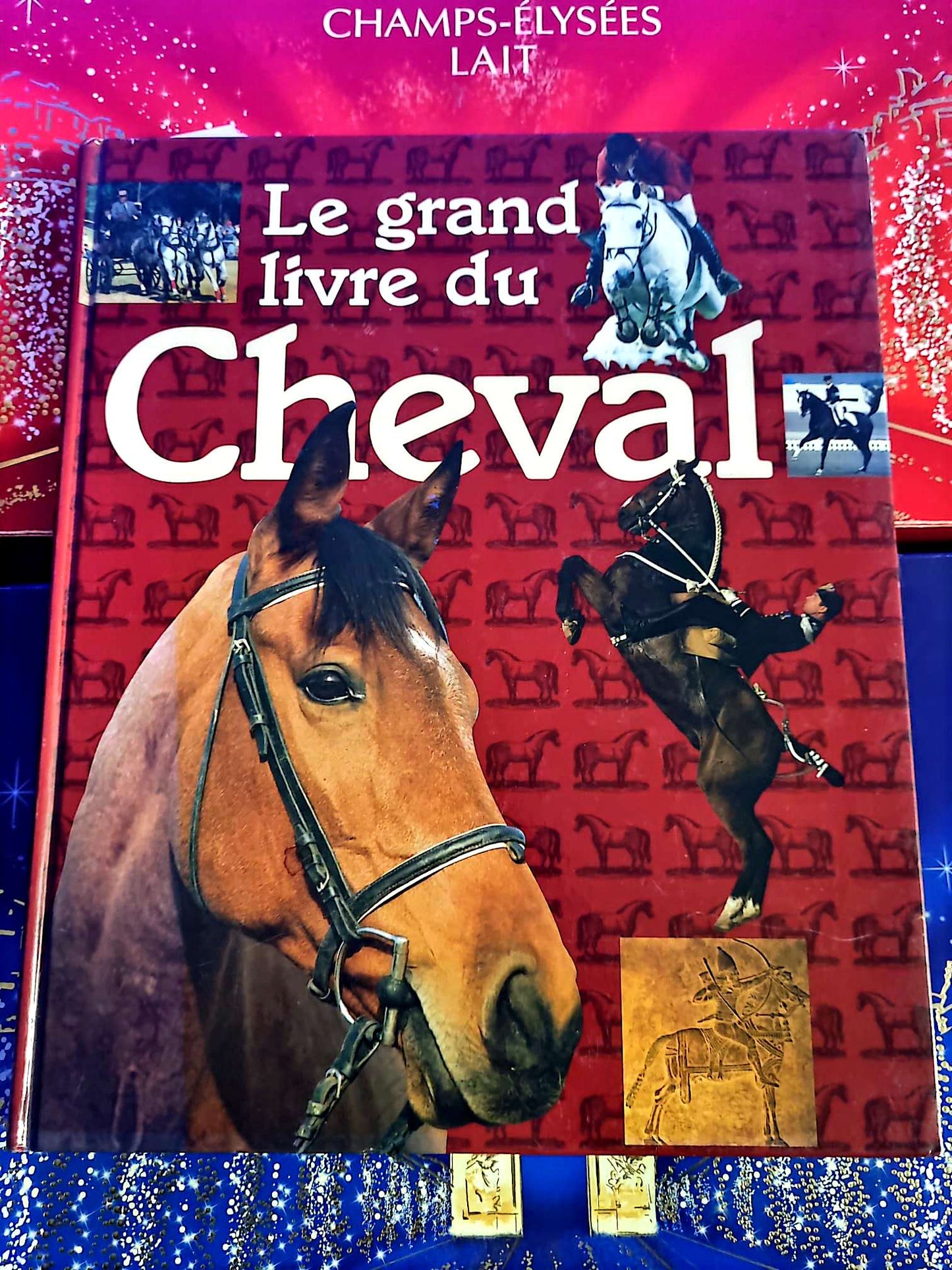 Le grand livre du cheval | Encyclopédie équestre | Livre illustré livre