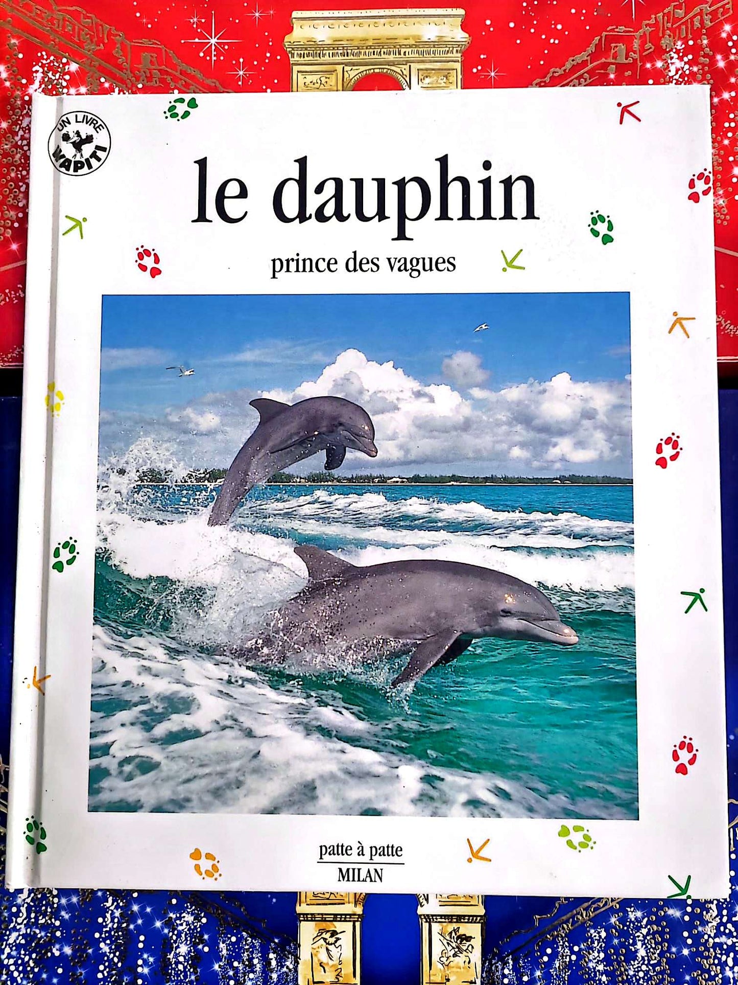 Le Dauphin – Prince des vagues | Livre enfant documentaire animaux marins | Album illustré livre