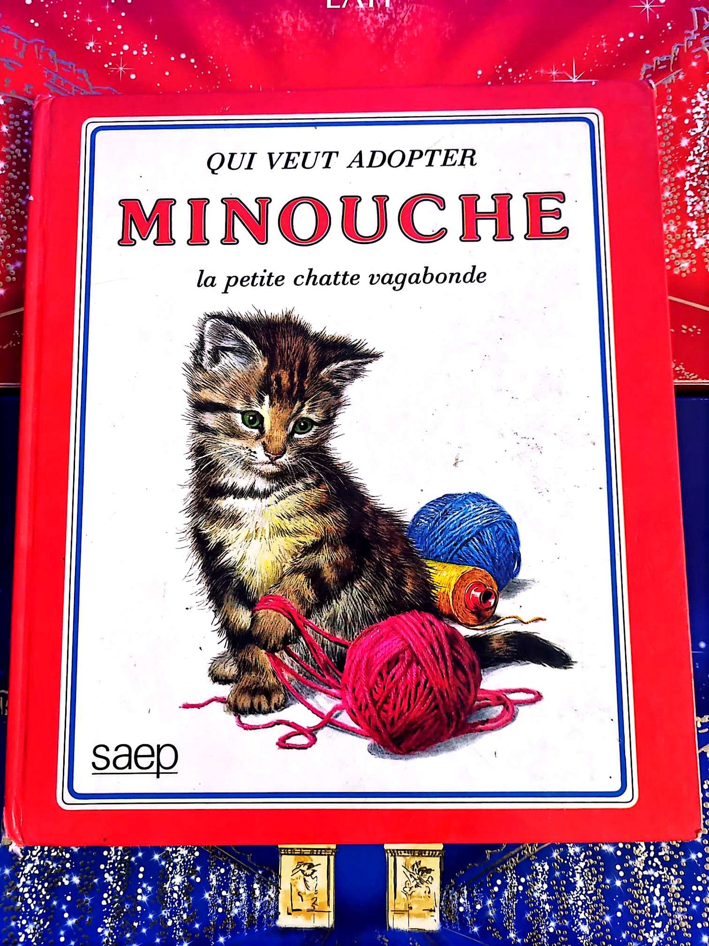 Qui veut adopter Minouche | Livre jeunesse | Histoire illustrée livre