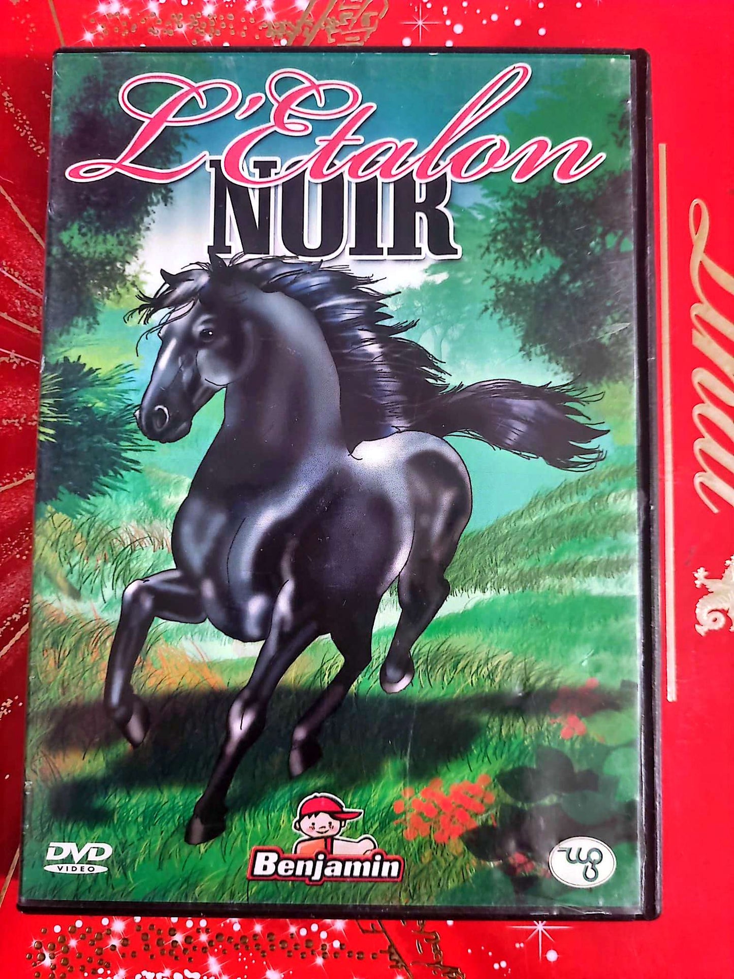 L’Étalon Noir | DVD Film Jeunesse | Adapté du roman d’Anna Sewell | Version Française dvd