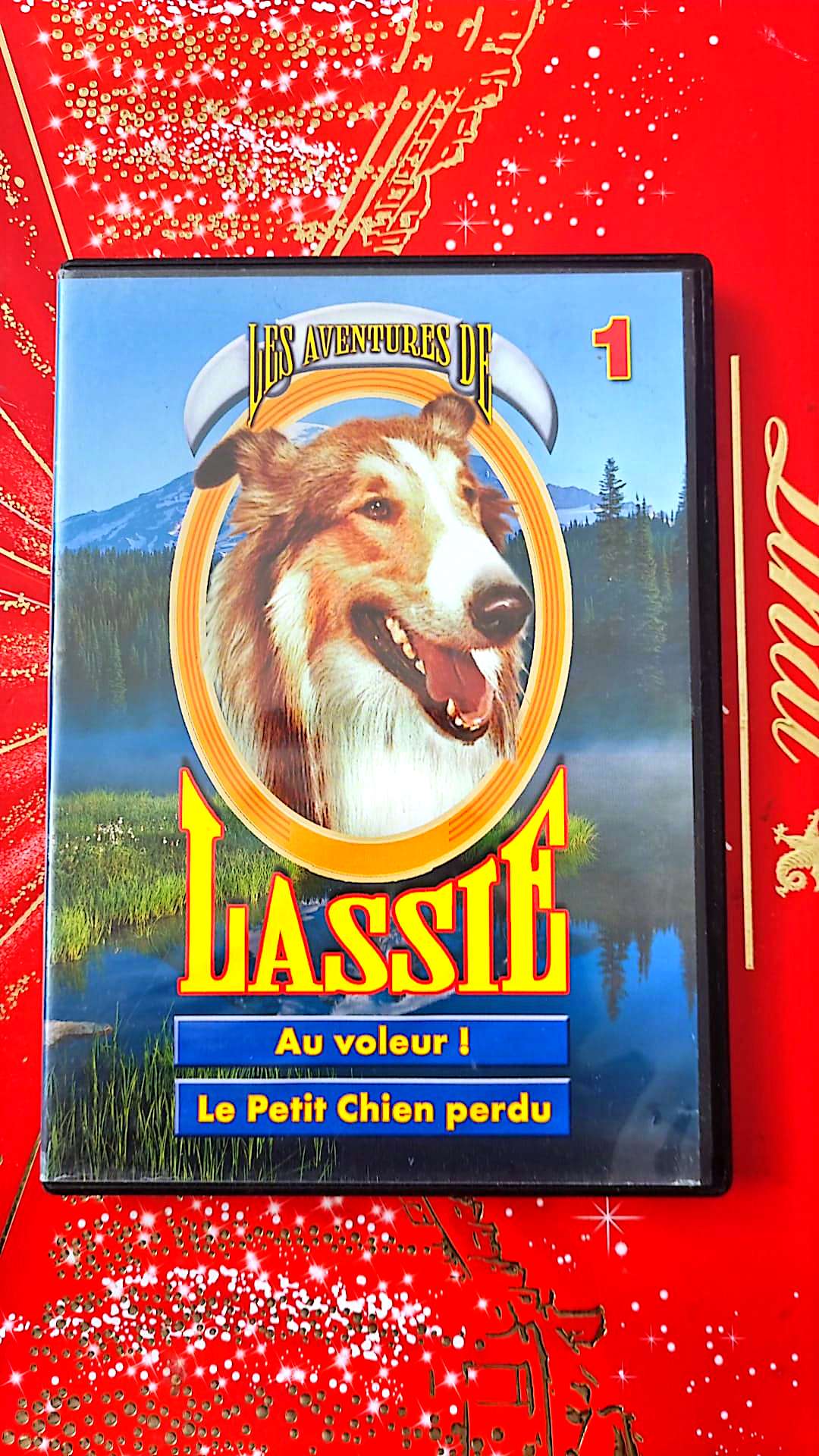 les aventures de lassie au voleur! le petit chien perdu DVD