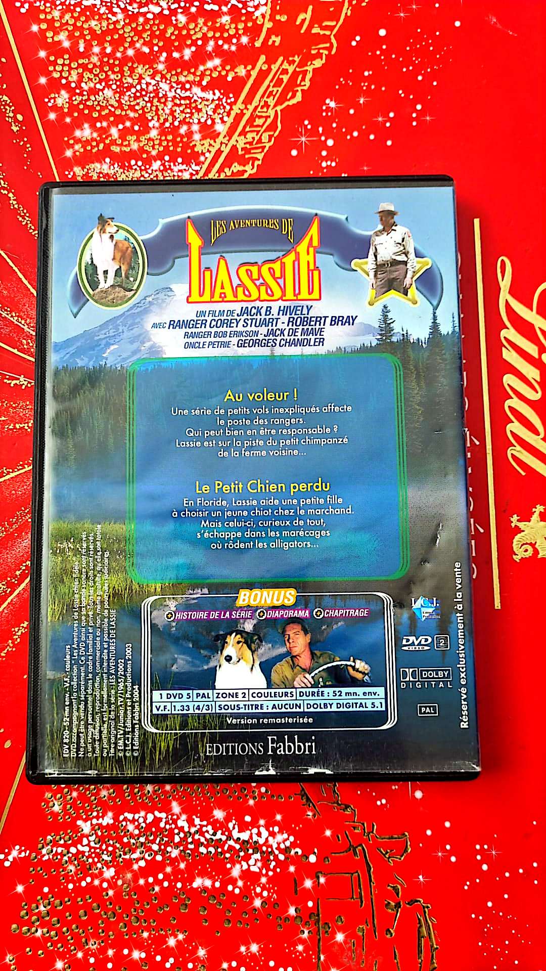 les aventures de lassie au voleur! le petit chien perdu DVD