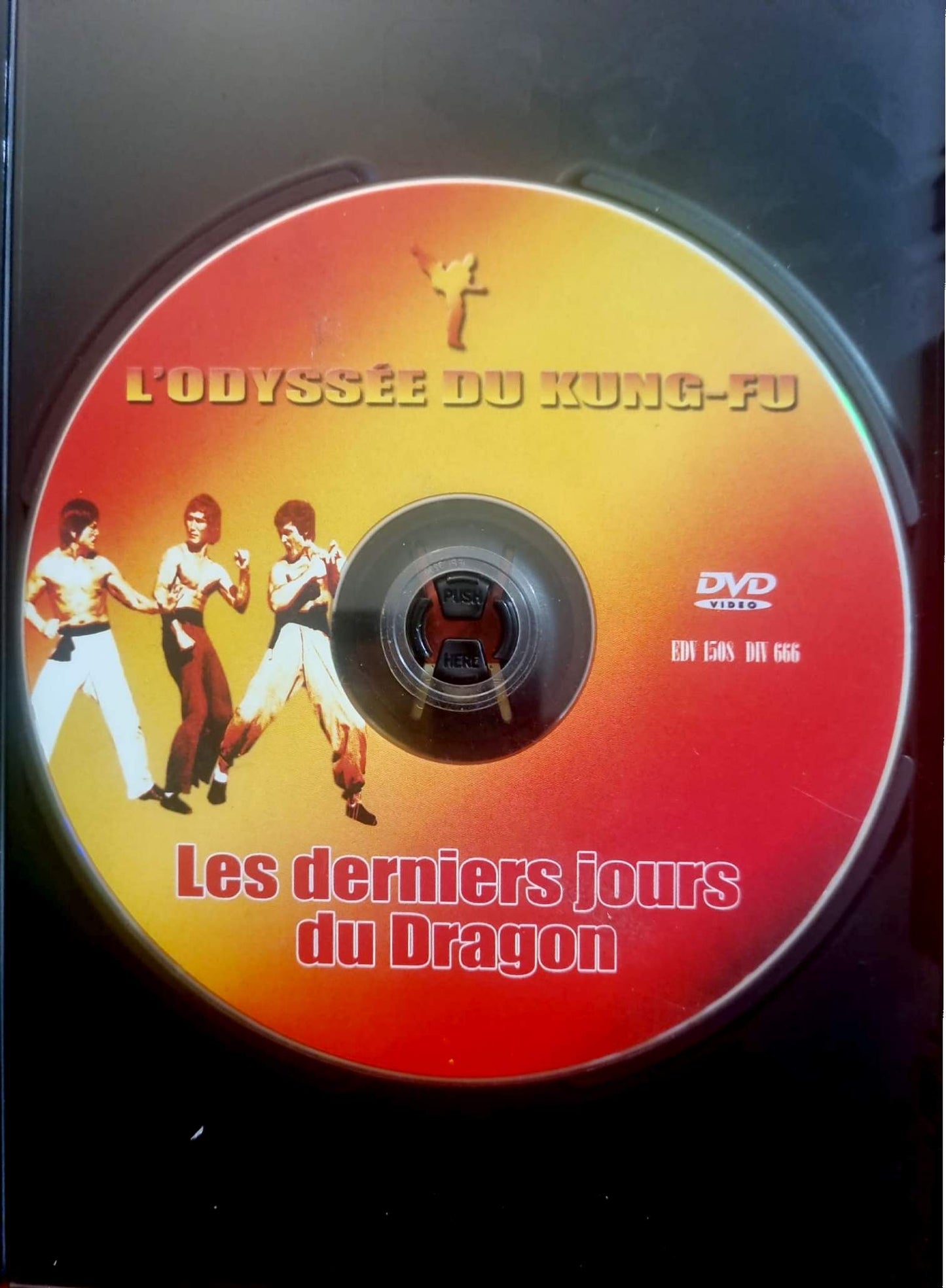 Les Derniers Jours du Dragon – DVD Kung-Fu – Disque seul – Fonctionnel – Sans boîtier