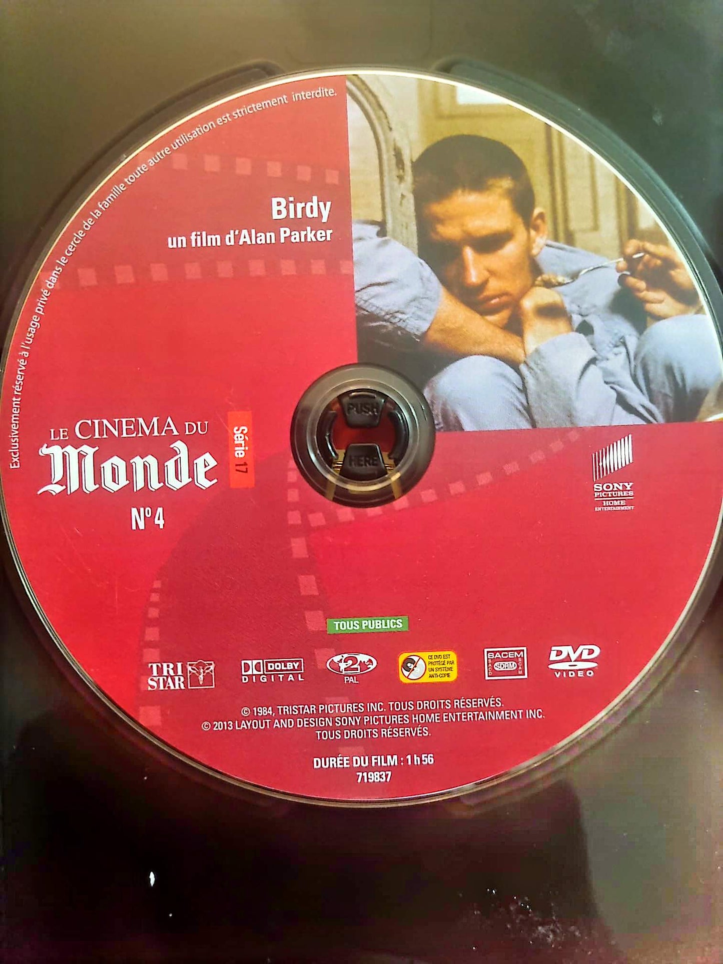 Birdy – DVD Film Drame – Le Cinéma du Monde – Sans boîtier – Fonctionnel