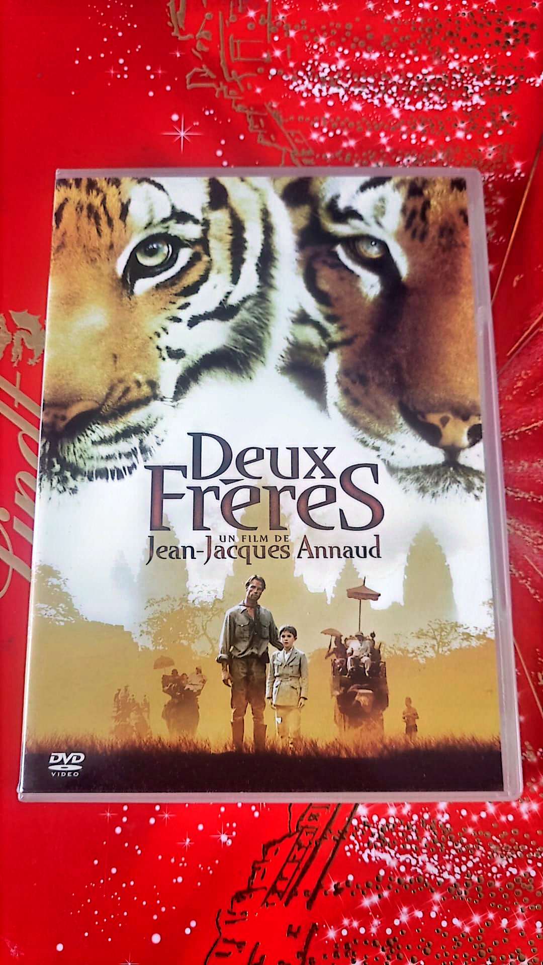Deux frères DVD