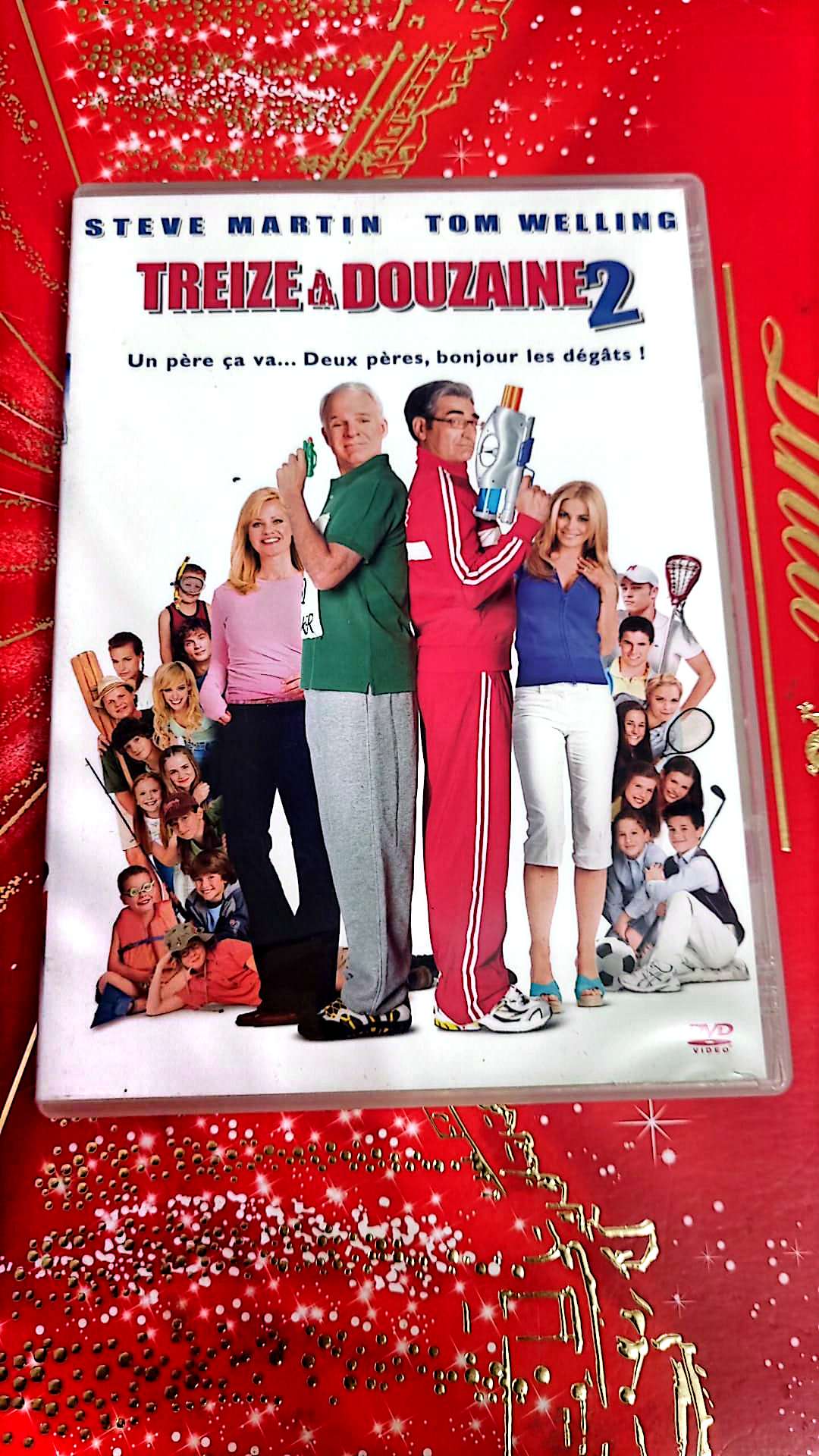 DVD : Treize à la douzaine 2