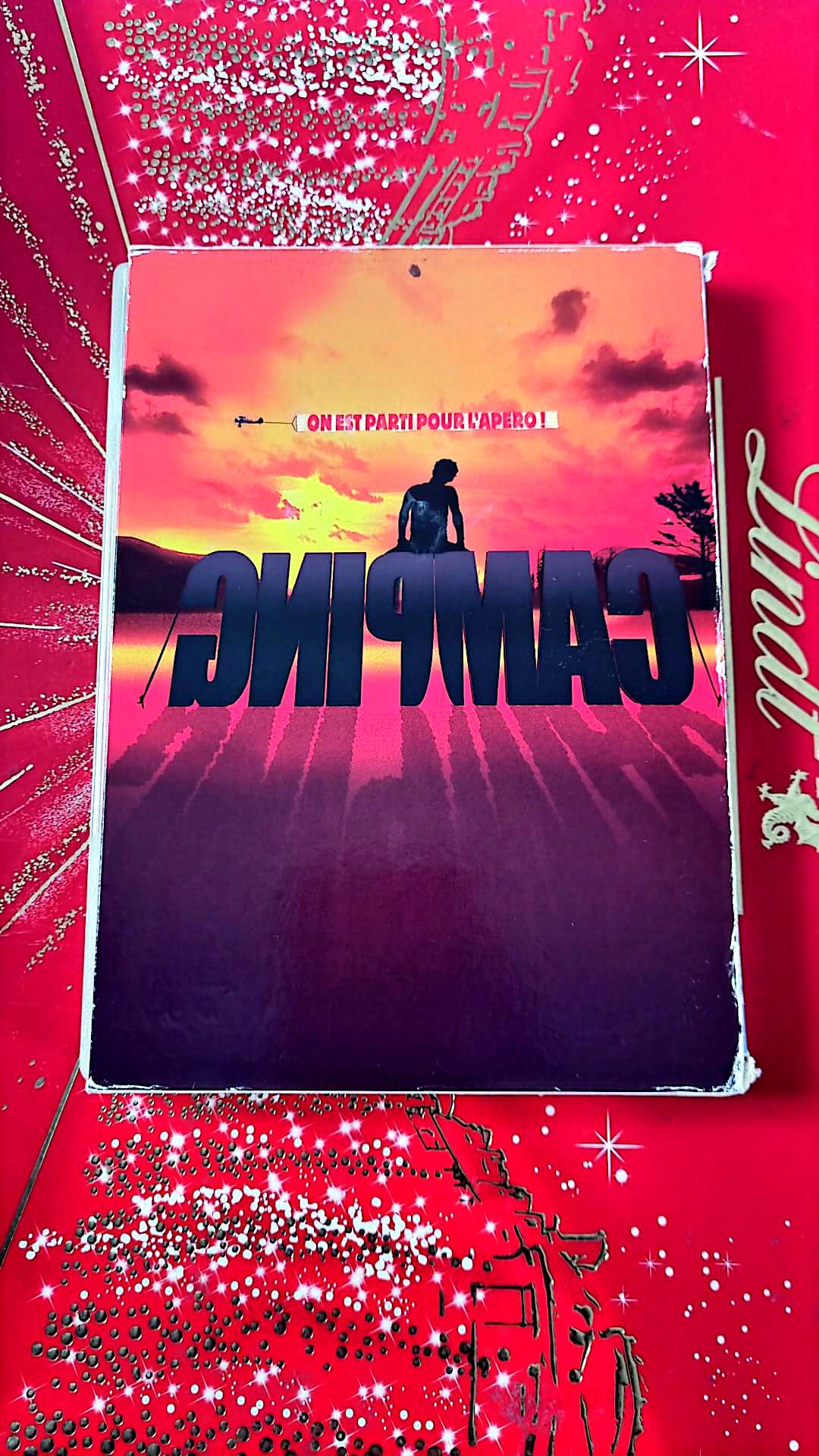 DVD : CAMPING