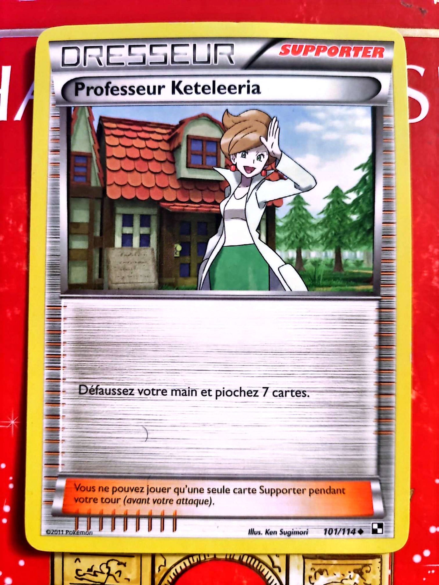 Carte Dresseur Pokémon Professeur Keteleria 101/114 – XY – Carte Officielle Française carte pokemon