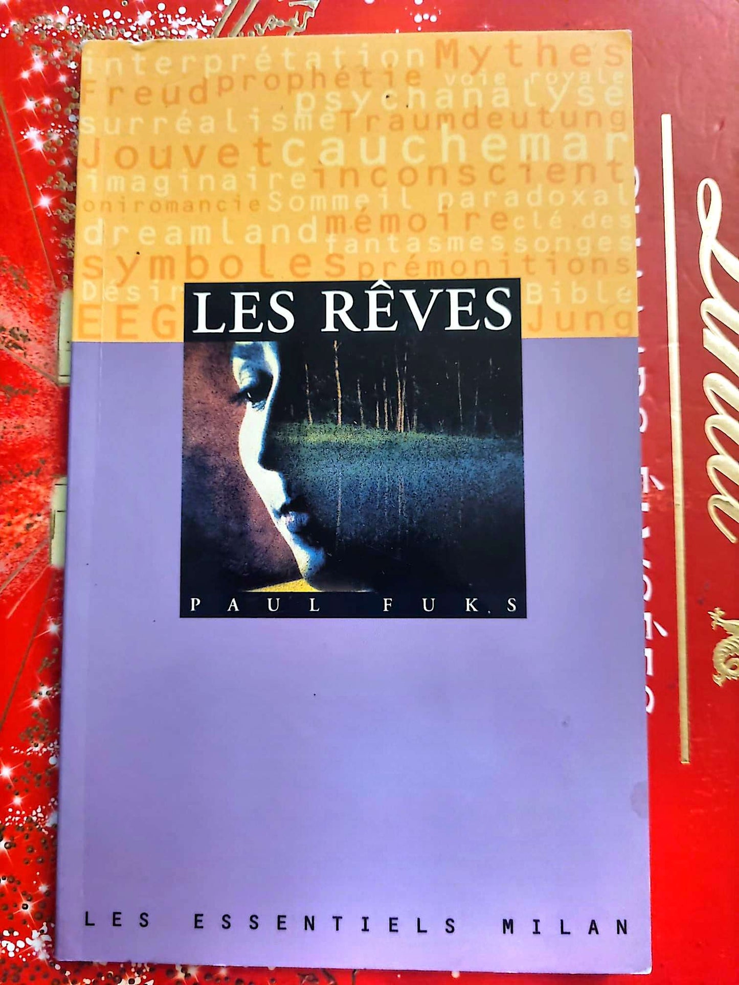 Les Rêves – Paul Fuks – Les Essentiels Milan – Psychanalyse livre