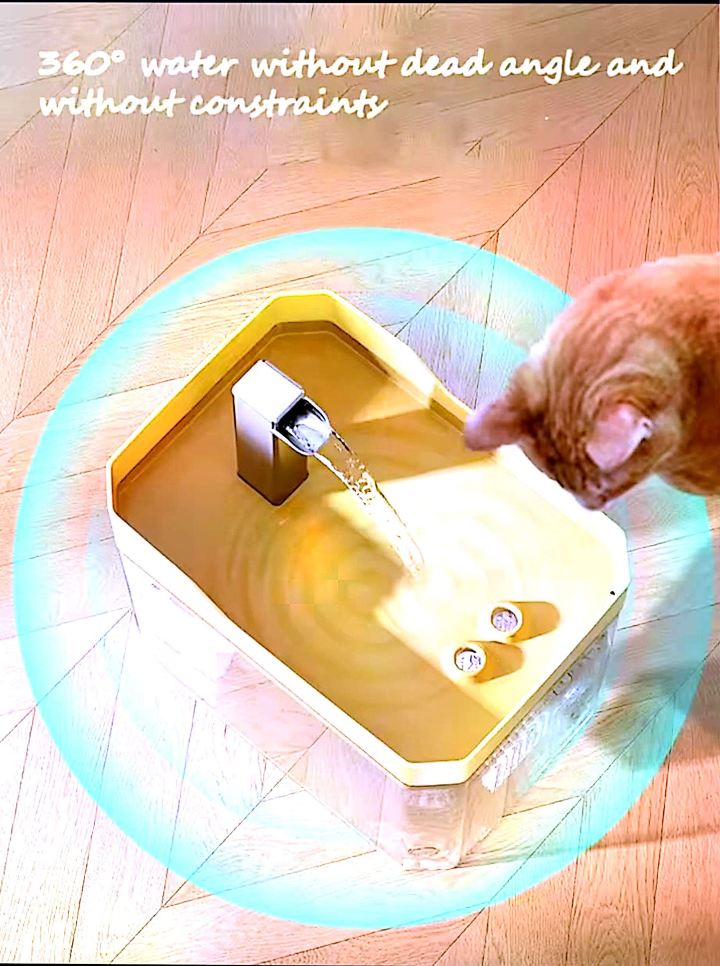 Fontaine à eau pour chat USB – réservoir transparent avec filtre