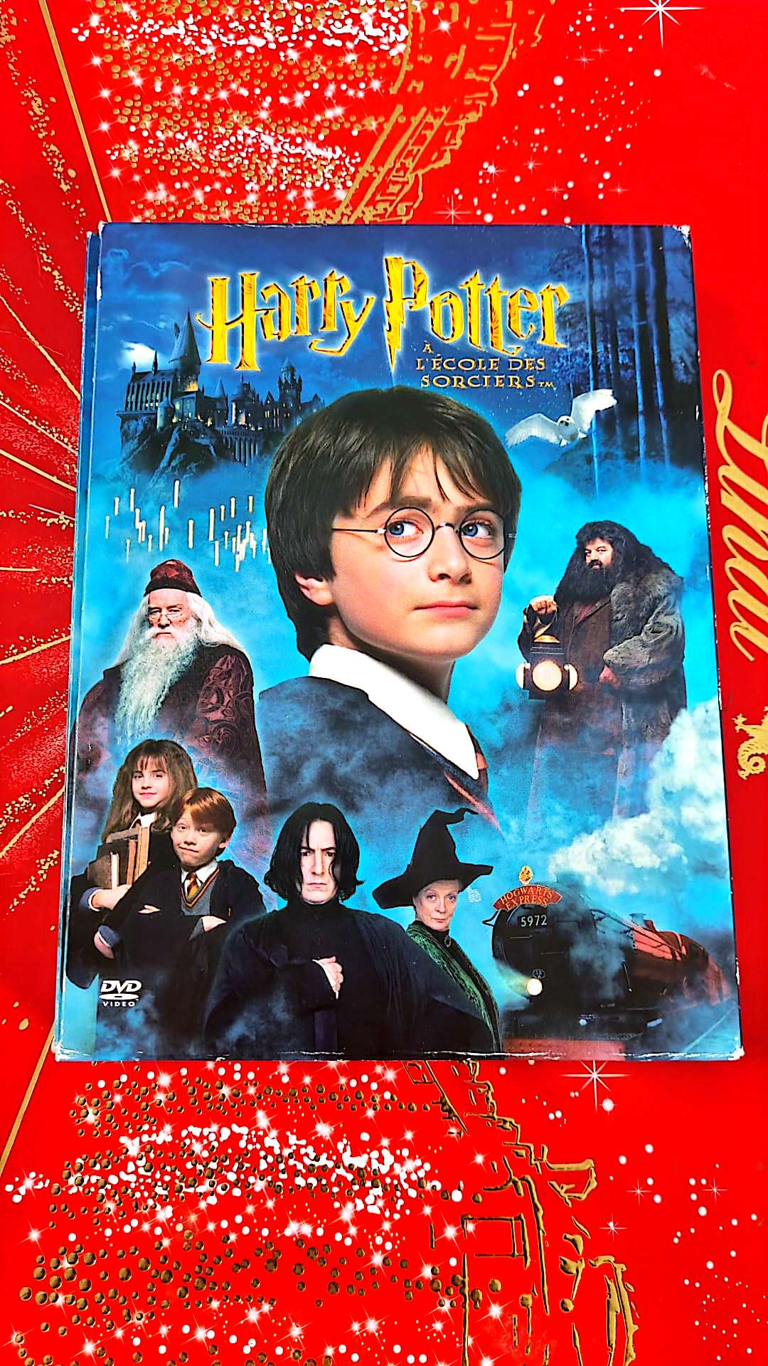 DVD : harry potter à l'école des sorciers en