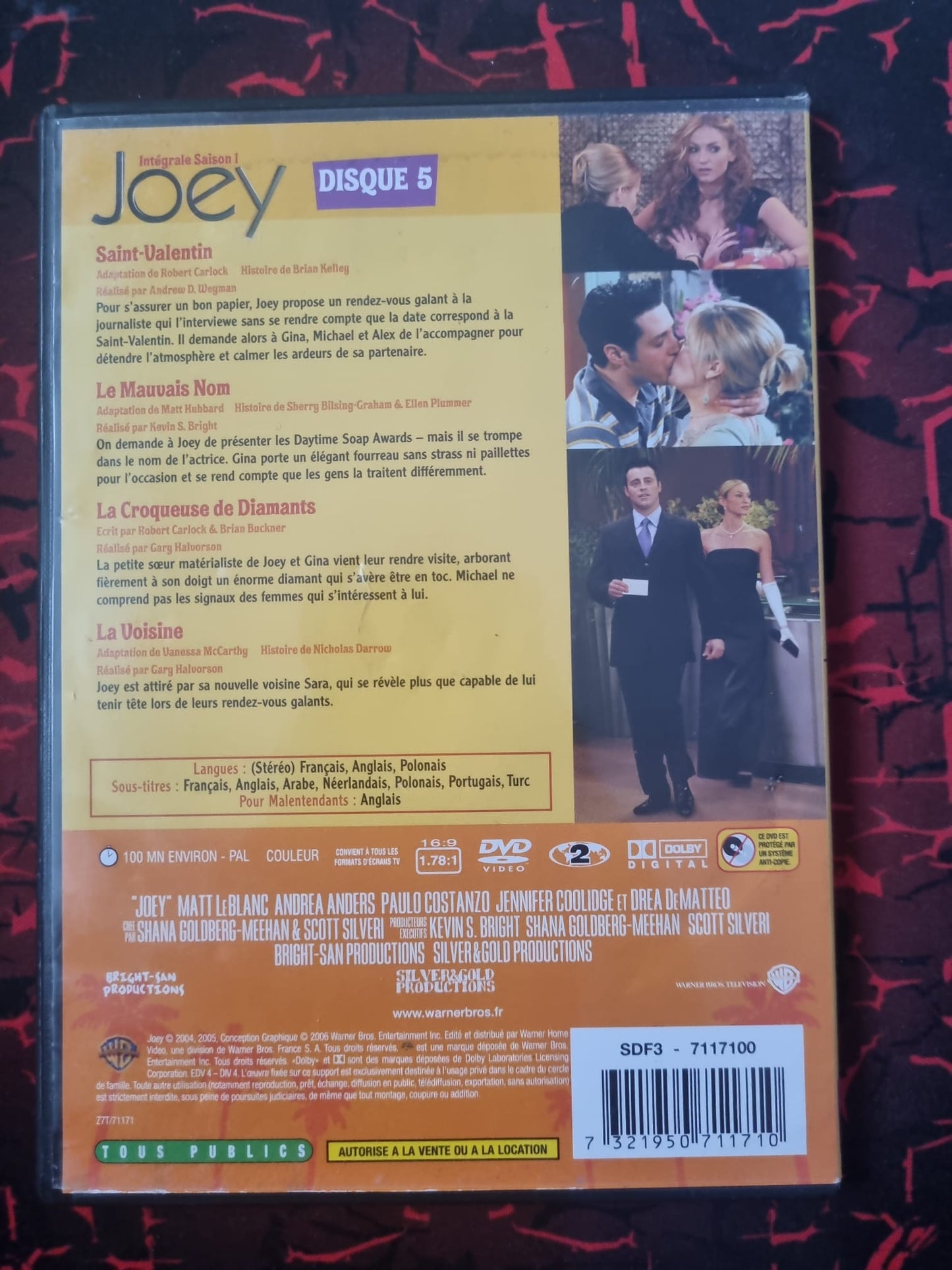DVD Joey Saison 1 – Disque 5 (Épisodes 17 à 20)