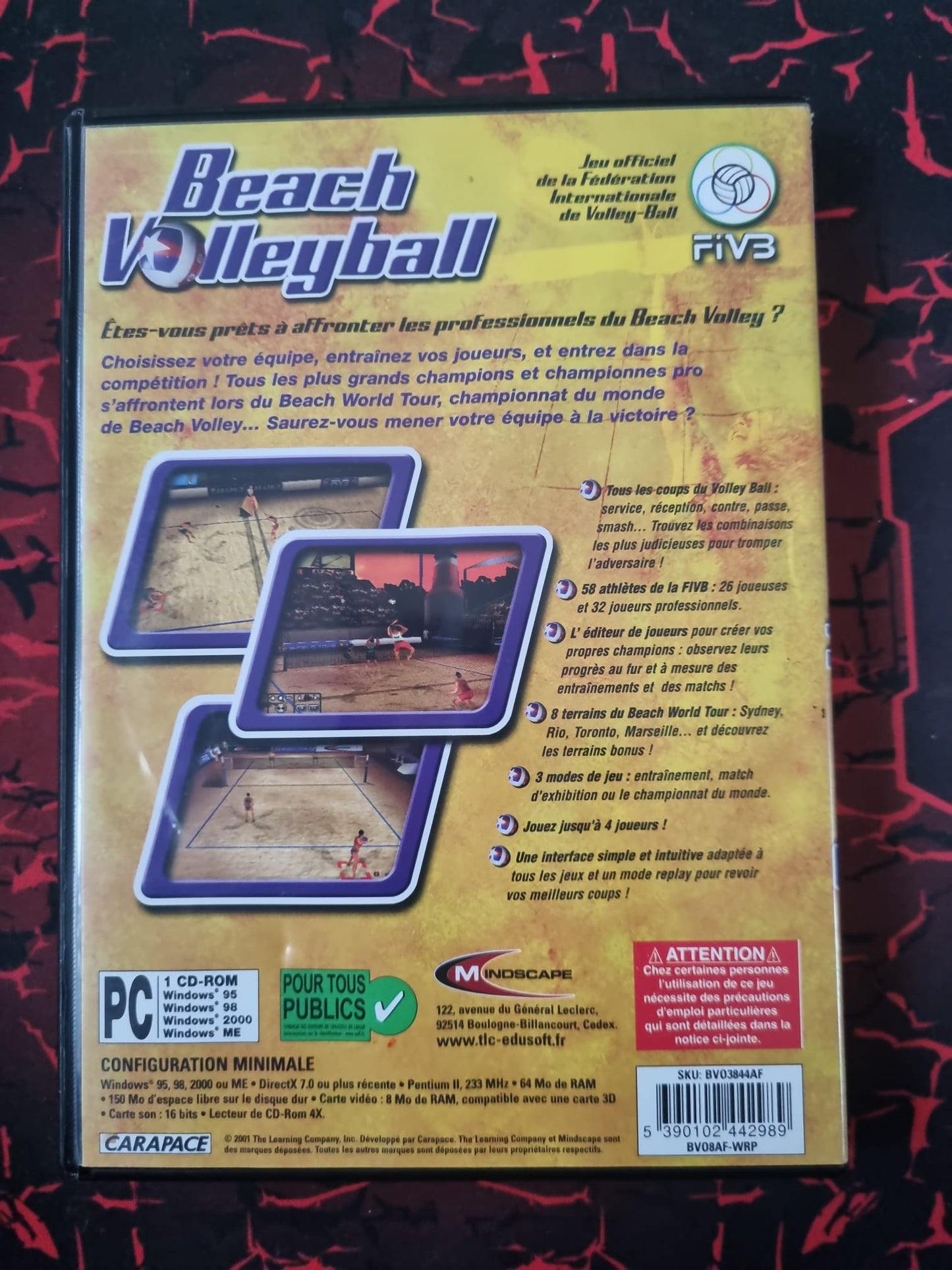 Beach Volleyball (PC CD-ROM)