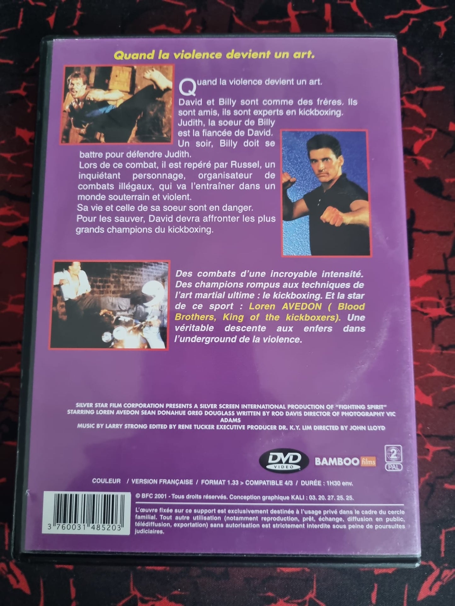 King of the Kickboxers 2 – DVD Film Action