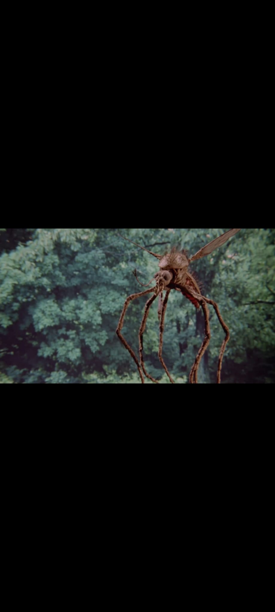 Mosquito DVD Film Horreur Science-Fiction – Invasion Insectes Géants – Version Française PAL