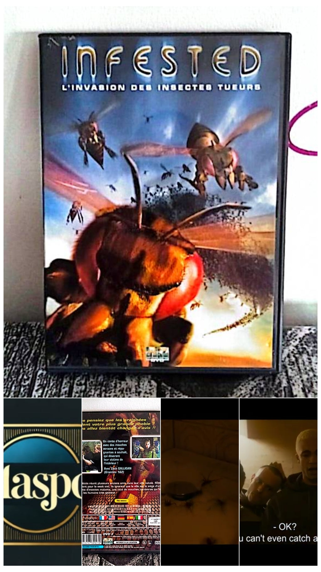 DVD : Infested l'invasion des insectes