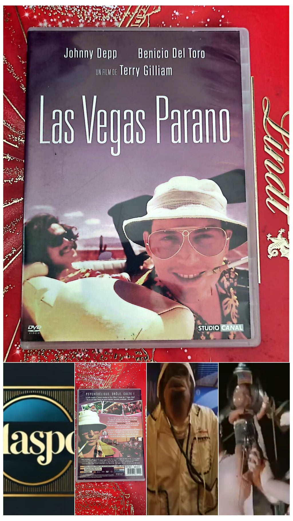 DVD : Las Vegas parano