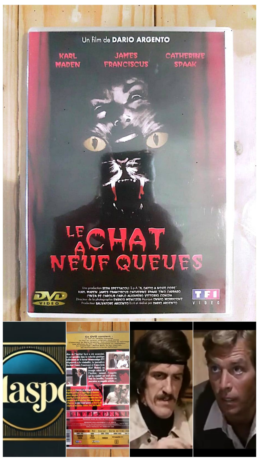 DVD : Le chat a neuf queue