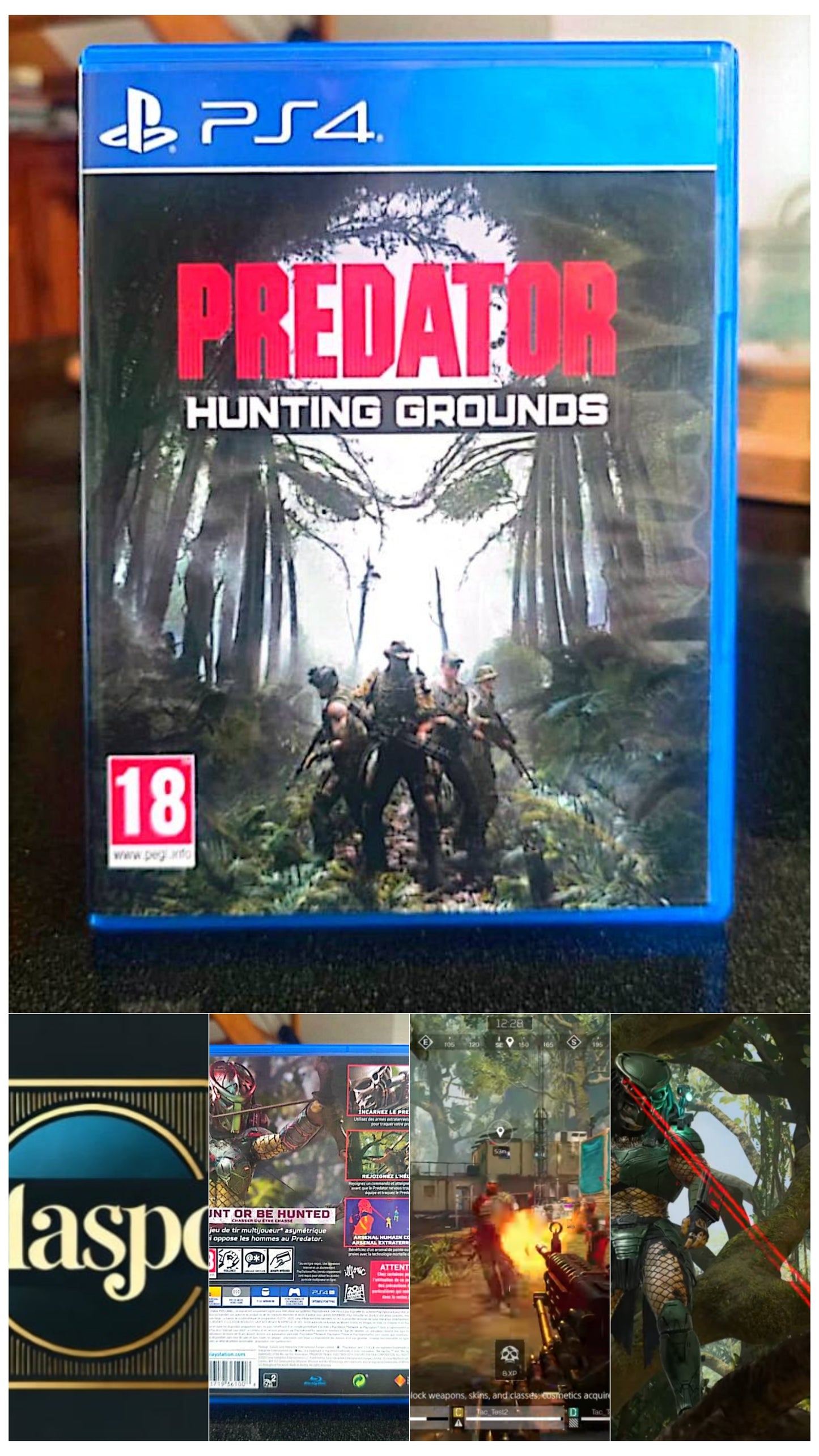 Jeu vidéo PS4 : predator hunting grounds ps4 (terrains de chasse aux prédateurs ps4)