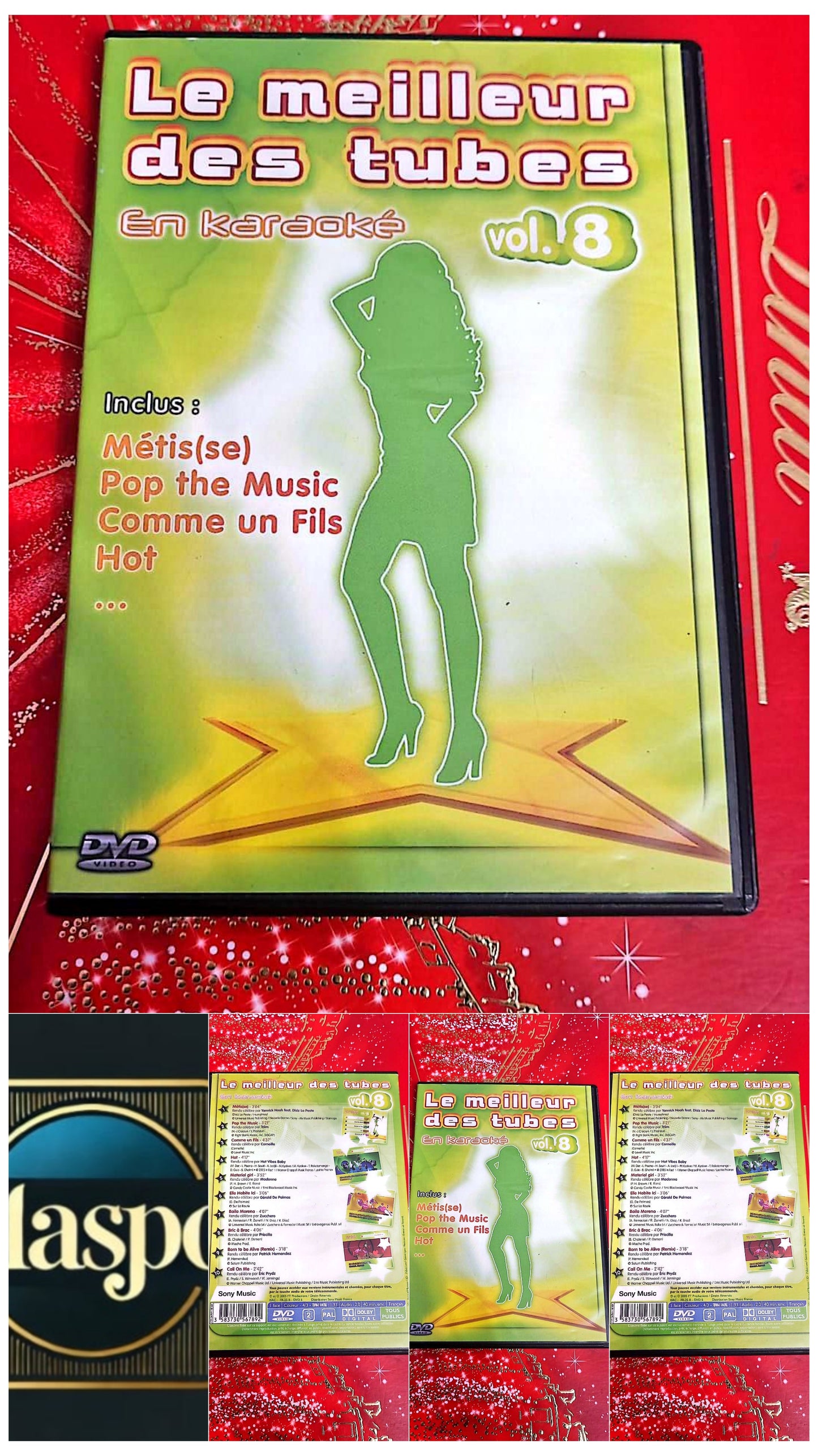 DVD : le meilleur des tubes en karaoké vol.8