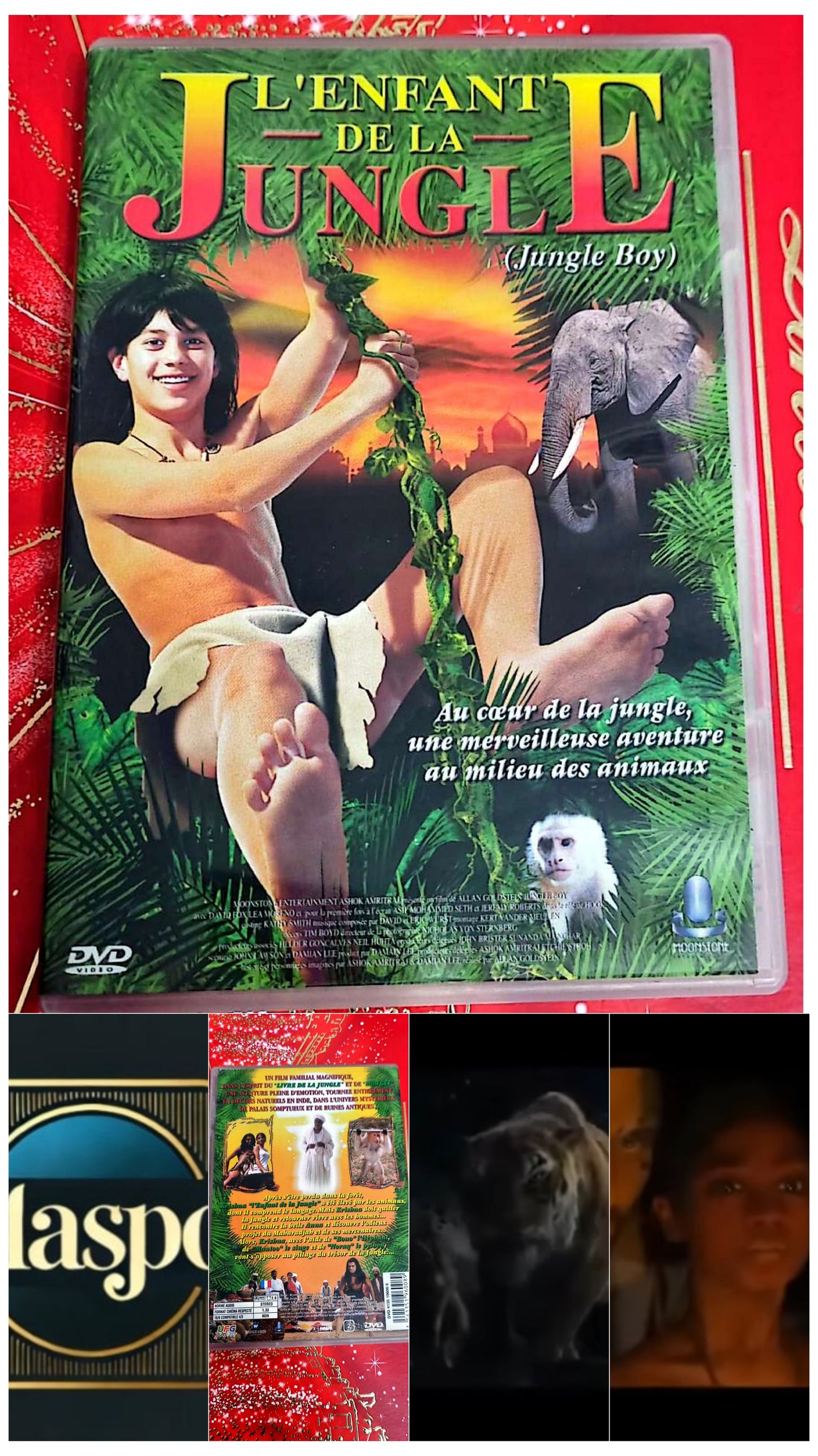 DVD : l'enfant de la jungle