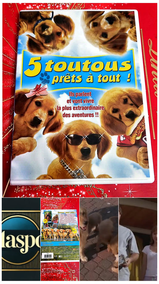 DVD 5 Toutous Prêts à Tout