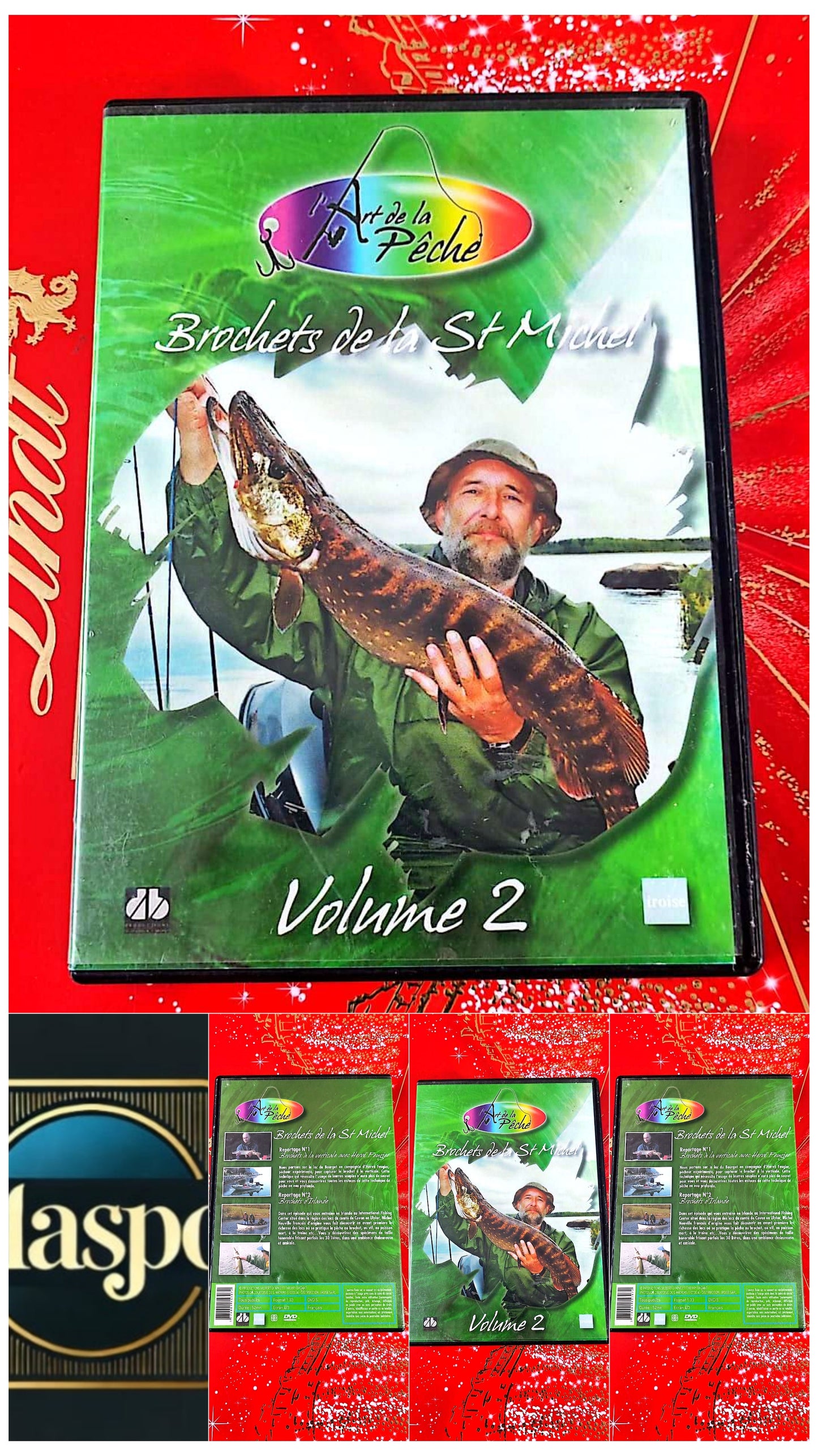 DVD : brochettes de la st Michel volume 2