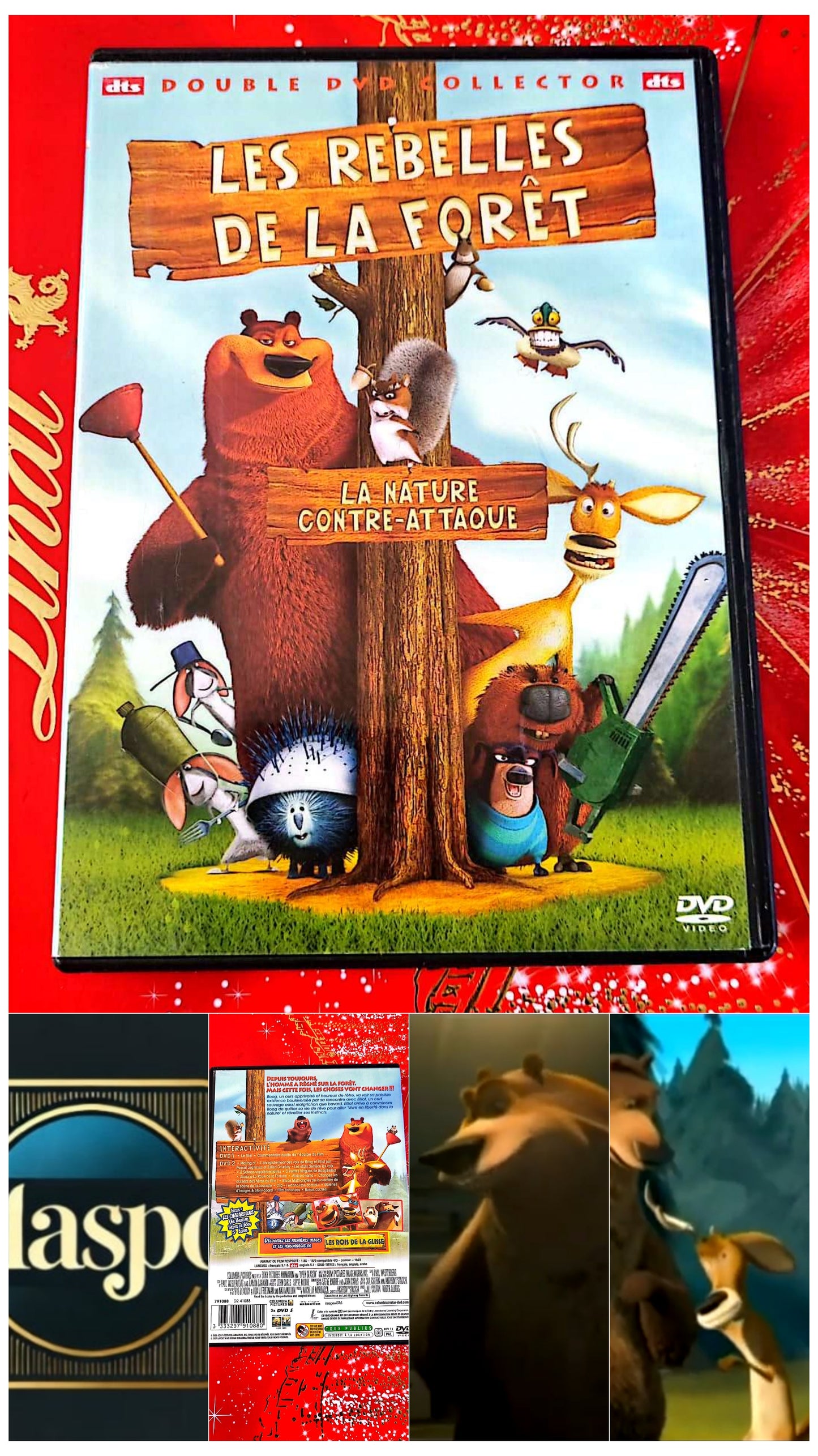 DVD : les rebelles de la forêt la nature cotre attaque