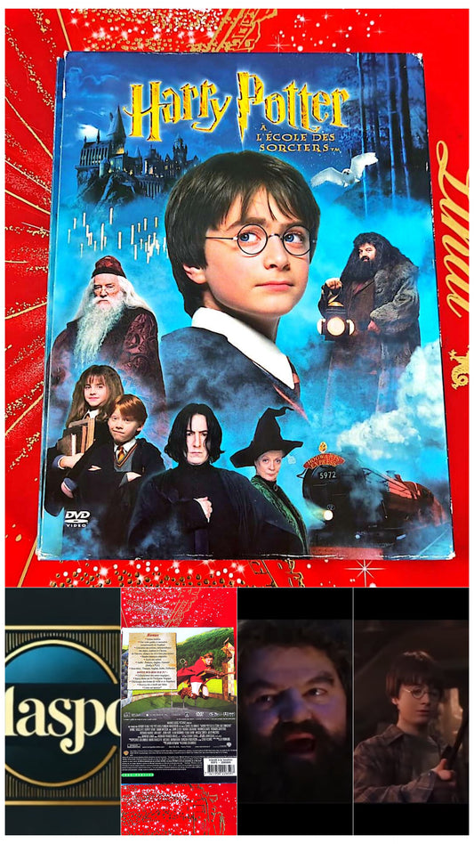 DVD : harry potter à l'école des sorciers en