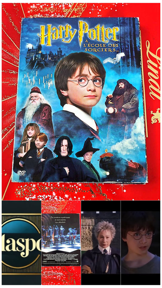 DVD : harry potter à l'école des sorciers en