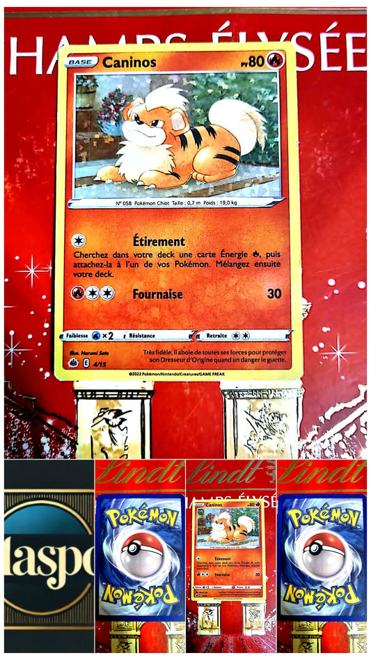 Carte Pokémon – Caninos – 80 PV – Attaques Étirement et Fournaise