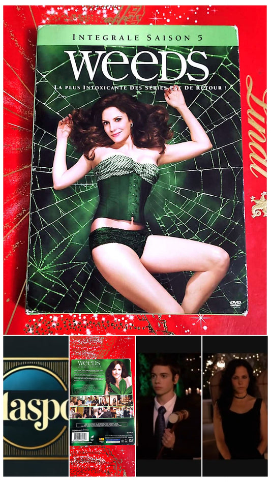 DVD : Intégrale Saison 5 weeds