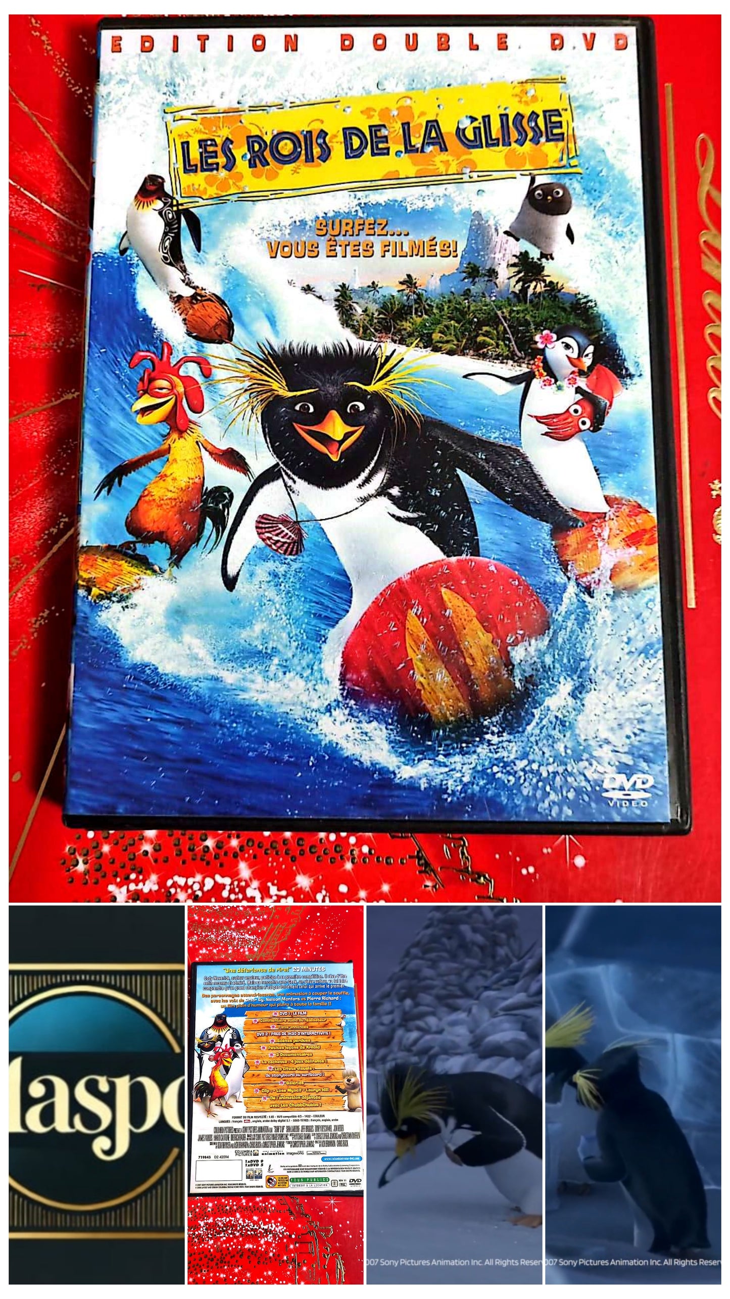 DVD : les rois de la glisse