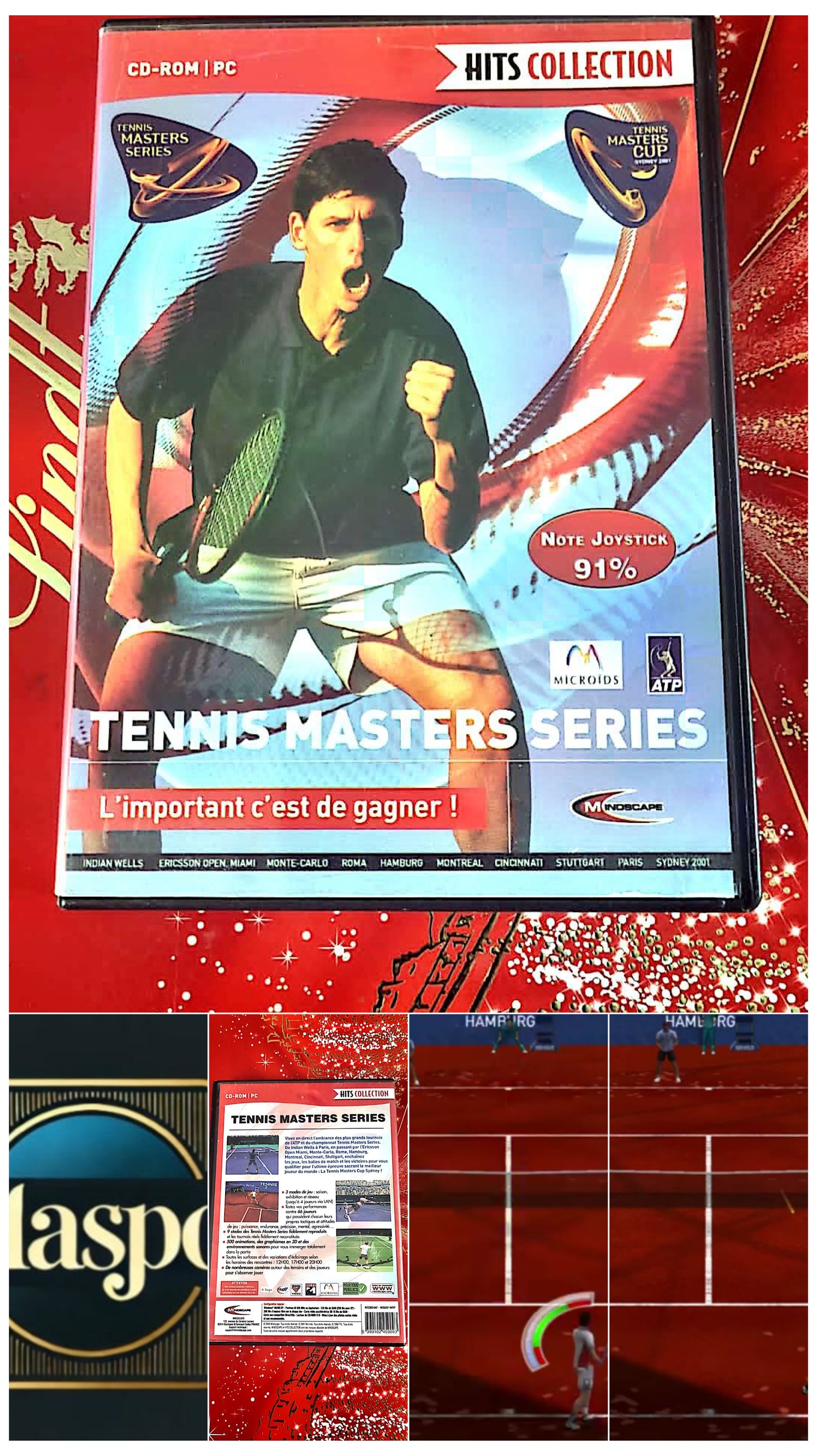 Jeu vidéo PC : tennis masters series