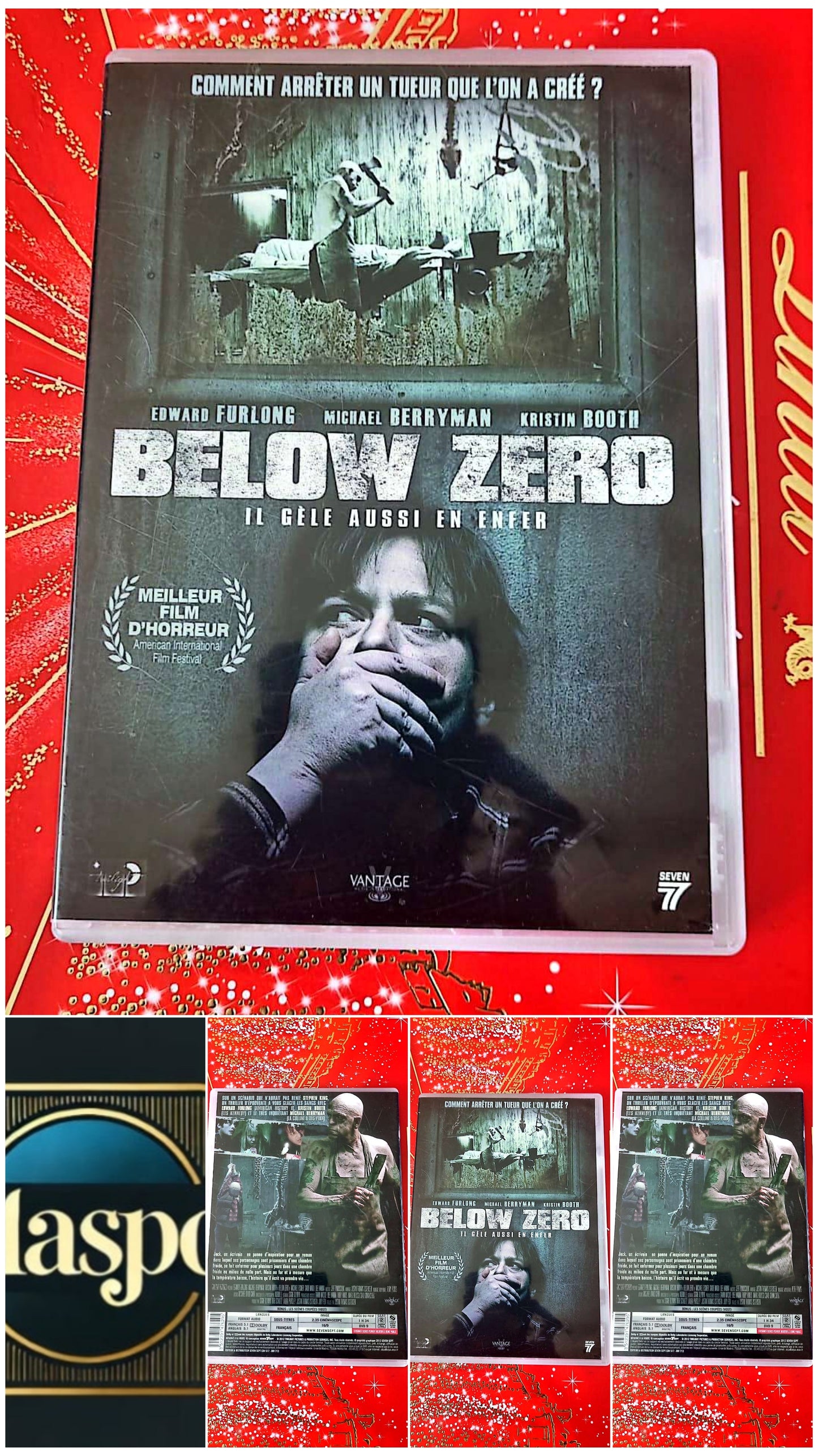 DVD : below zéro il gèle aussi en enfer en