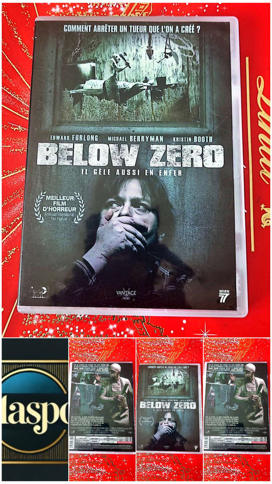 DVD : below zéro il gèle aussi en enfer en