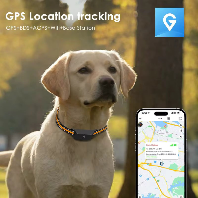 Collier GPS 4G pour Chien et Chat – Traceur d’Animaux Étanche IP67 avec Suivi en Temps Réel