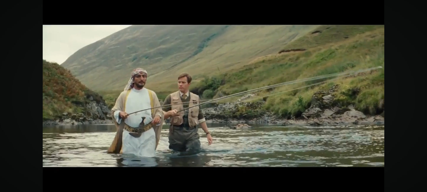 DVD : des saumons dans le desert